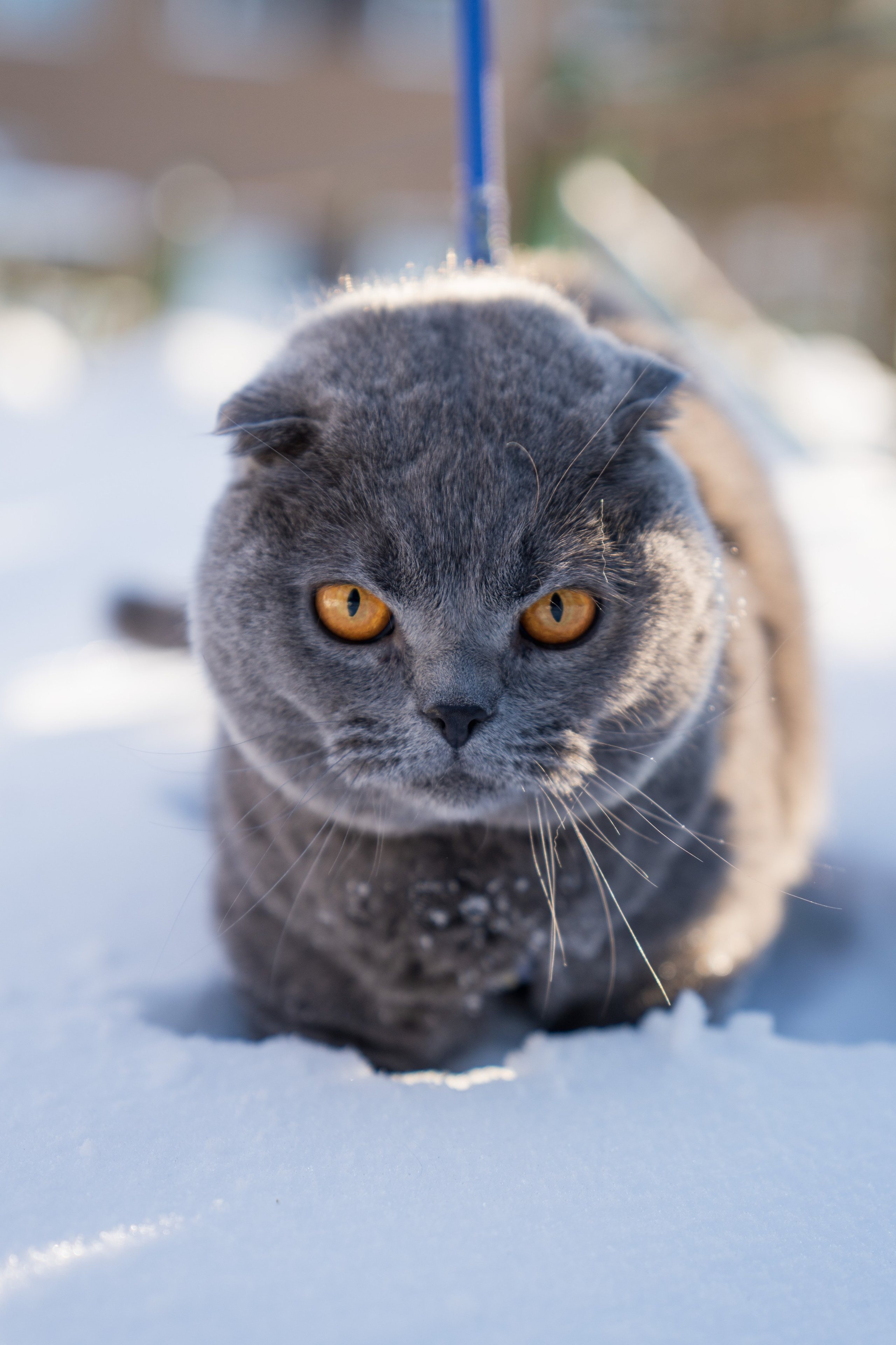 Кефир. Photography&Video