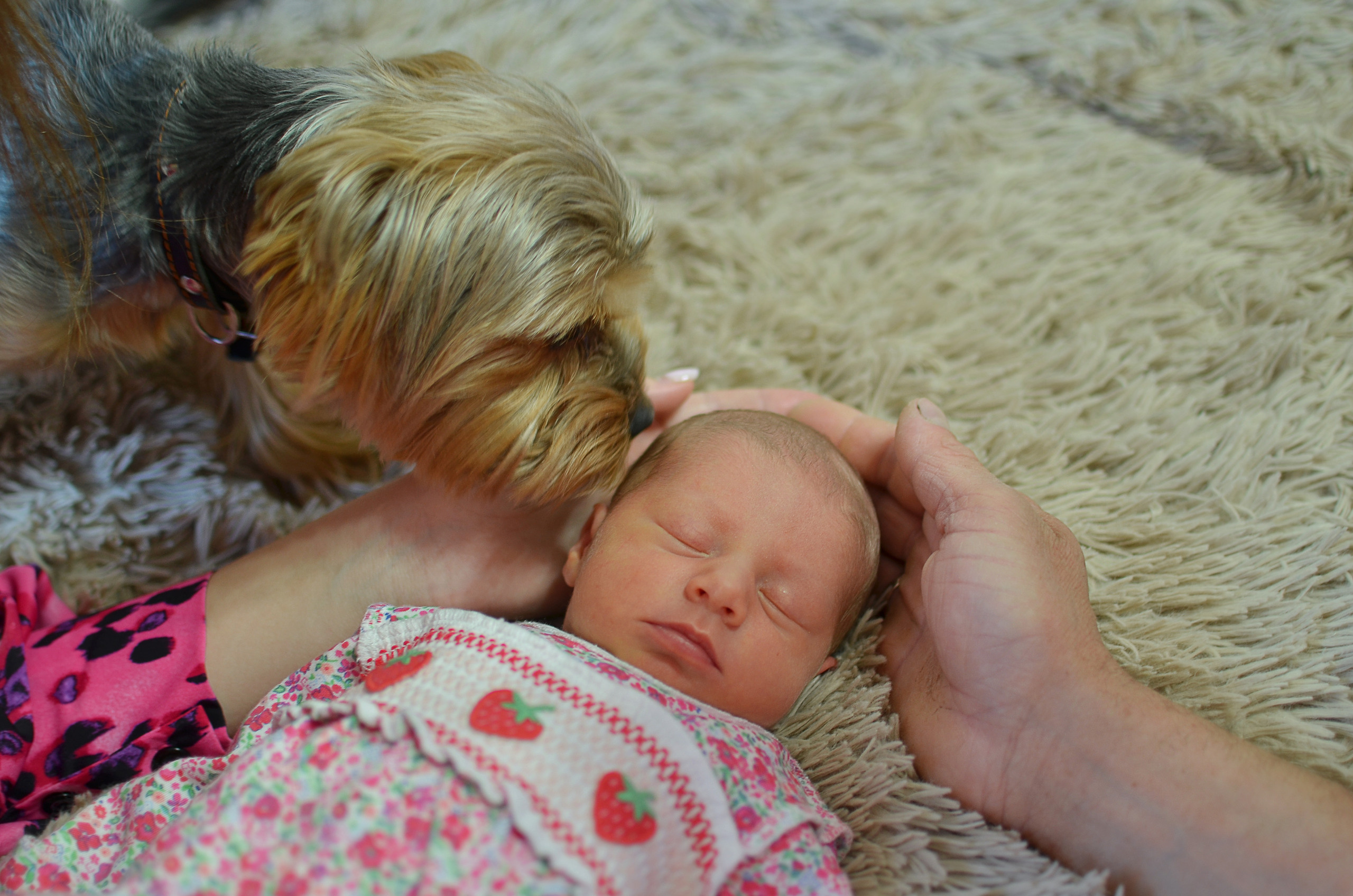 Выписка из роддома Ксении. Семейный и детский фотограф в Санкт-Петербурге Баландина Татьяна