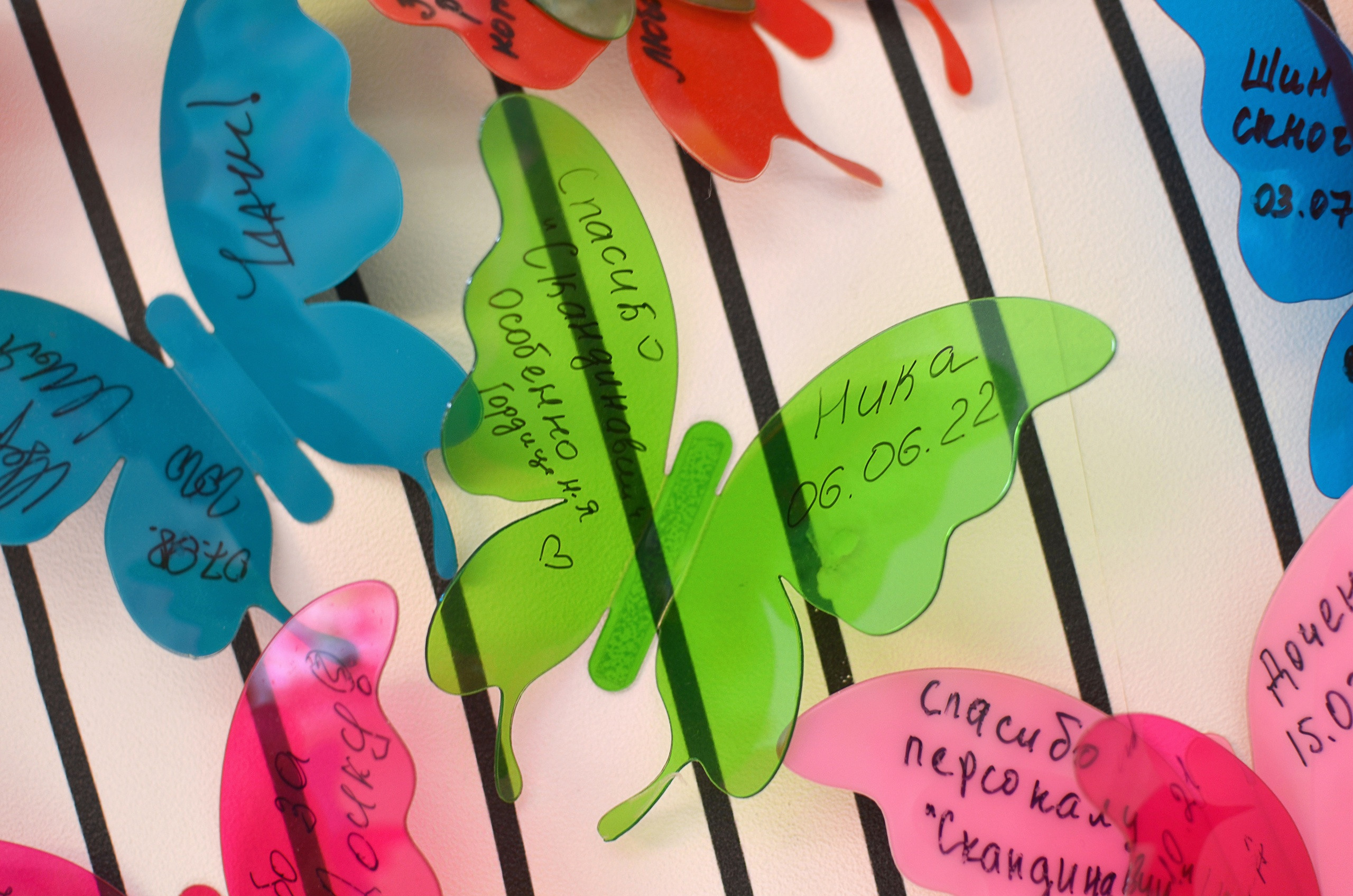 Выписка из роддома. Семейный и детский фотограф в Санкт-Петербурге Баландина Татьяна