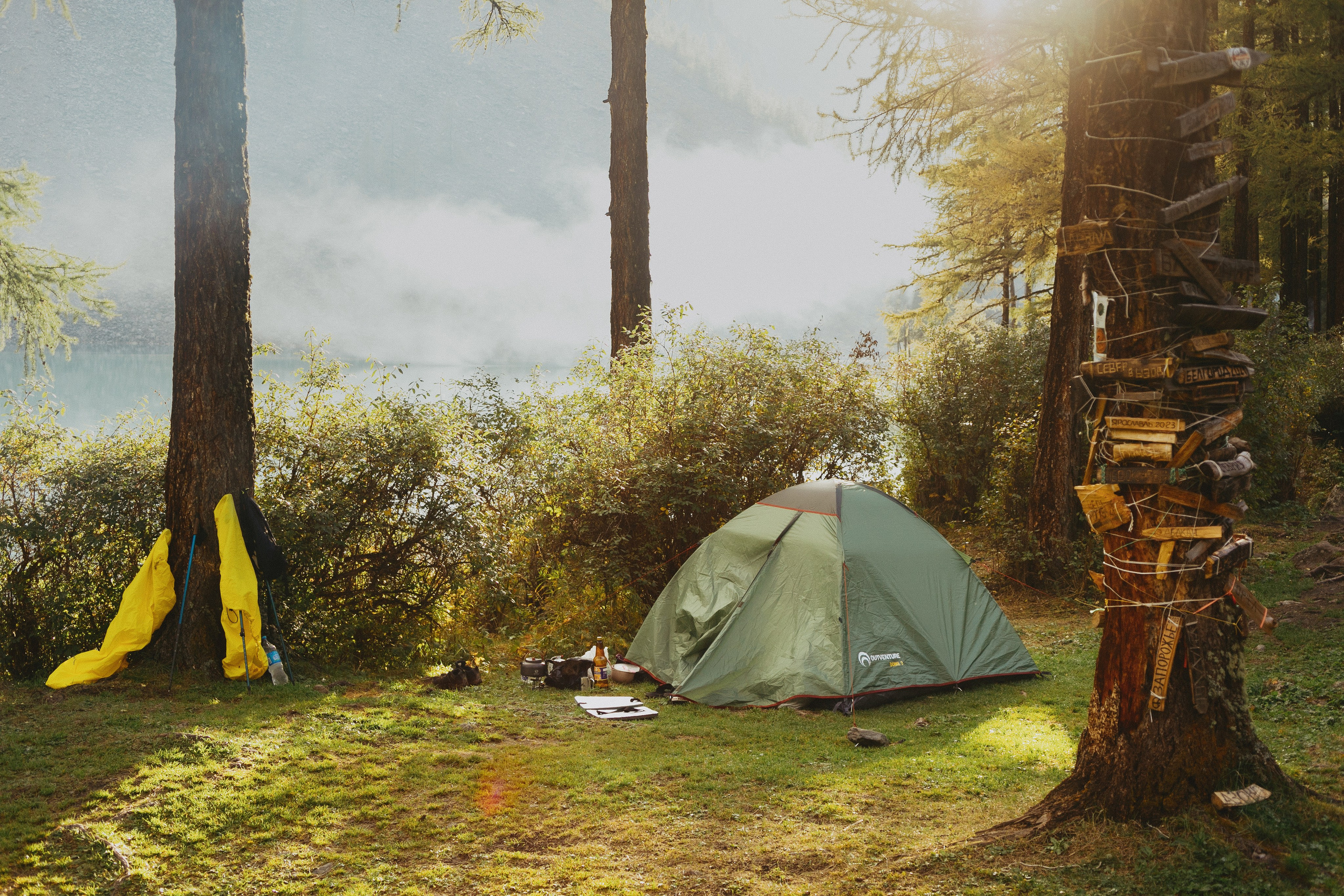 Шавлинские. Главная