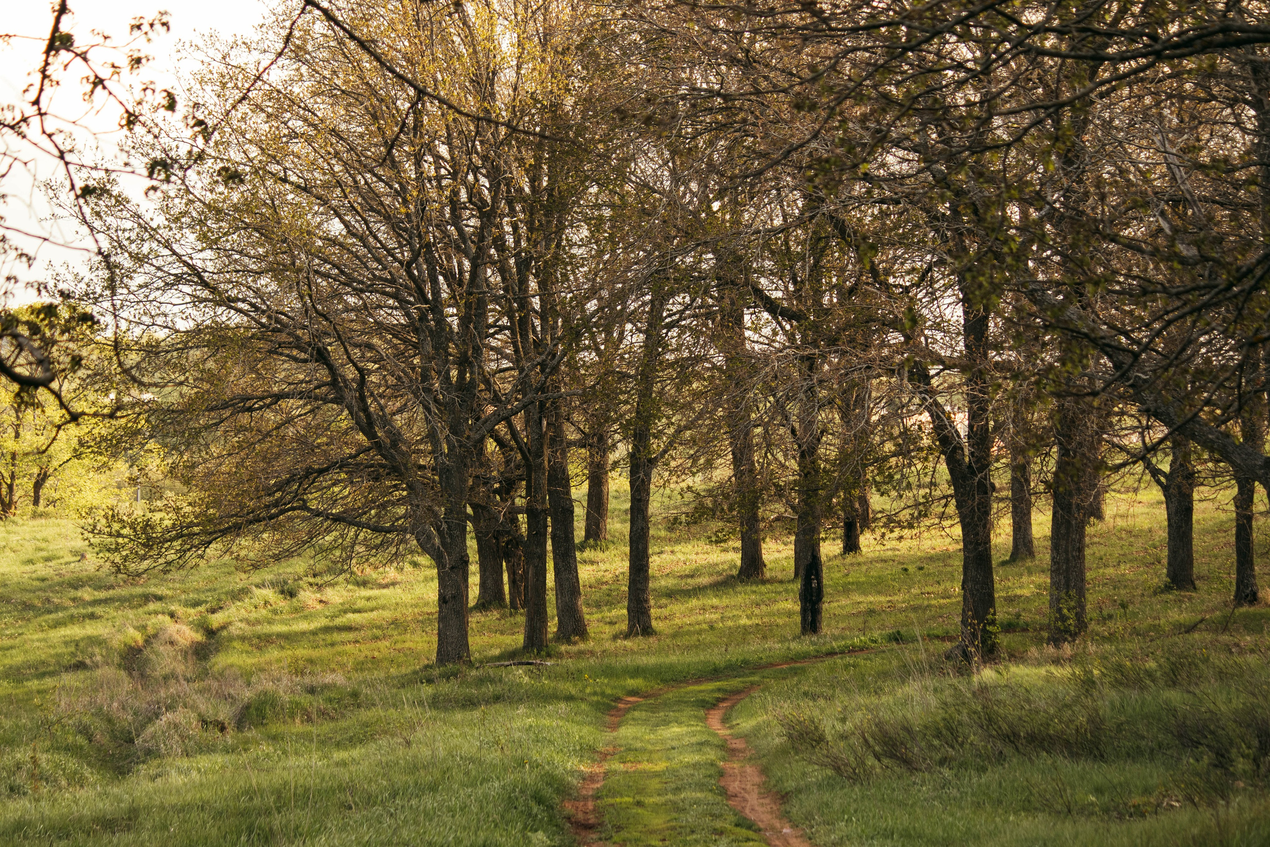Сокольская гора. Фотограф и видеограф в Бугульме Аня Трутнева