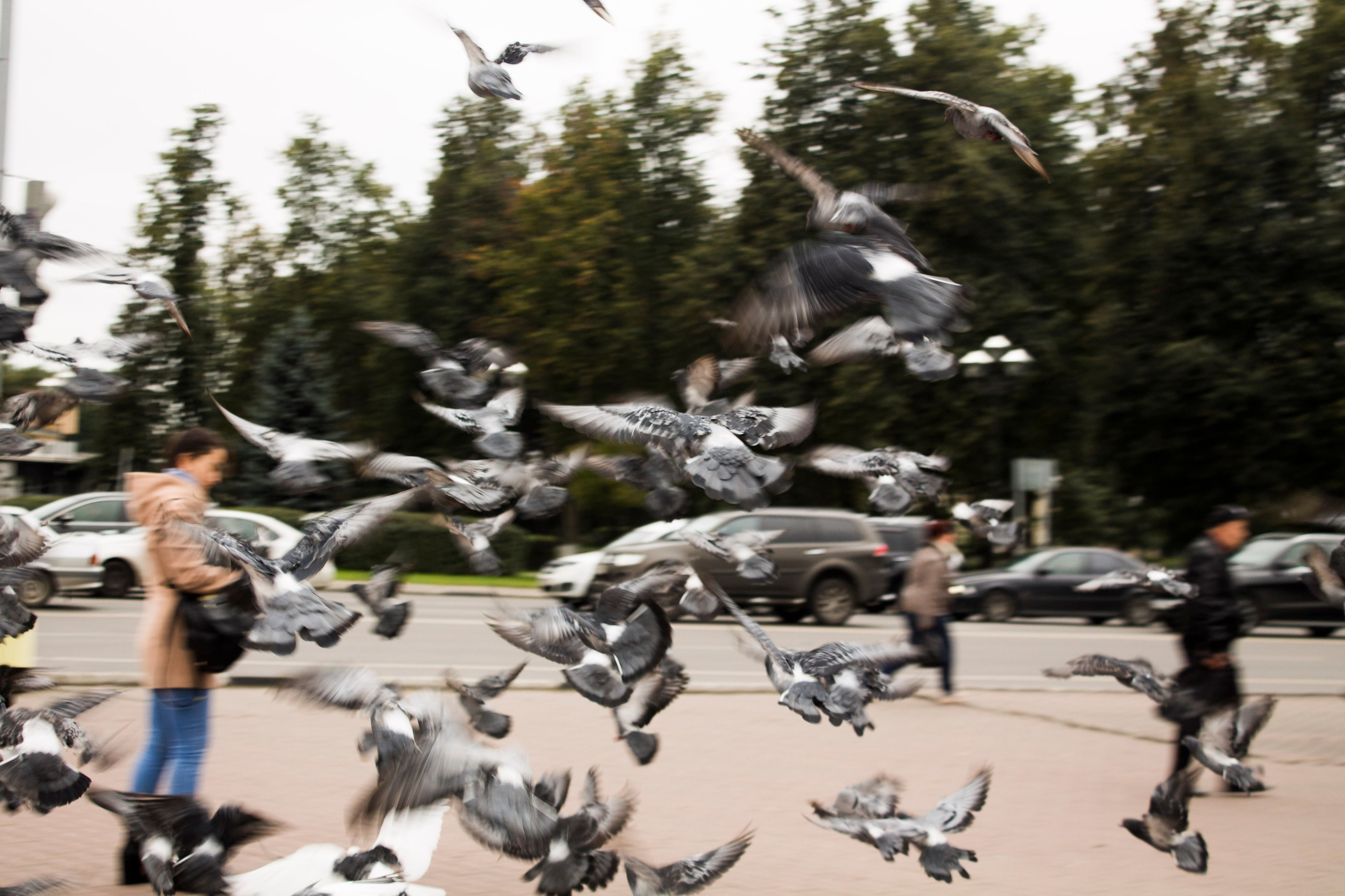 Мои первые работы. Фотограф из Москвы — DASHA NOVA | Авторская фотография в разных жанрах