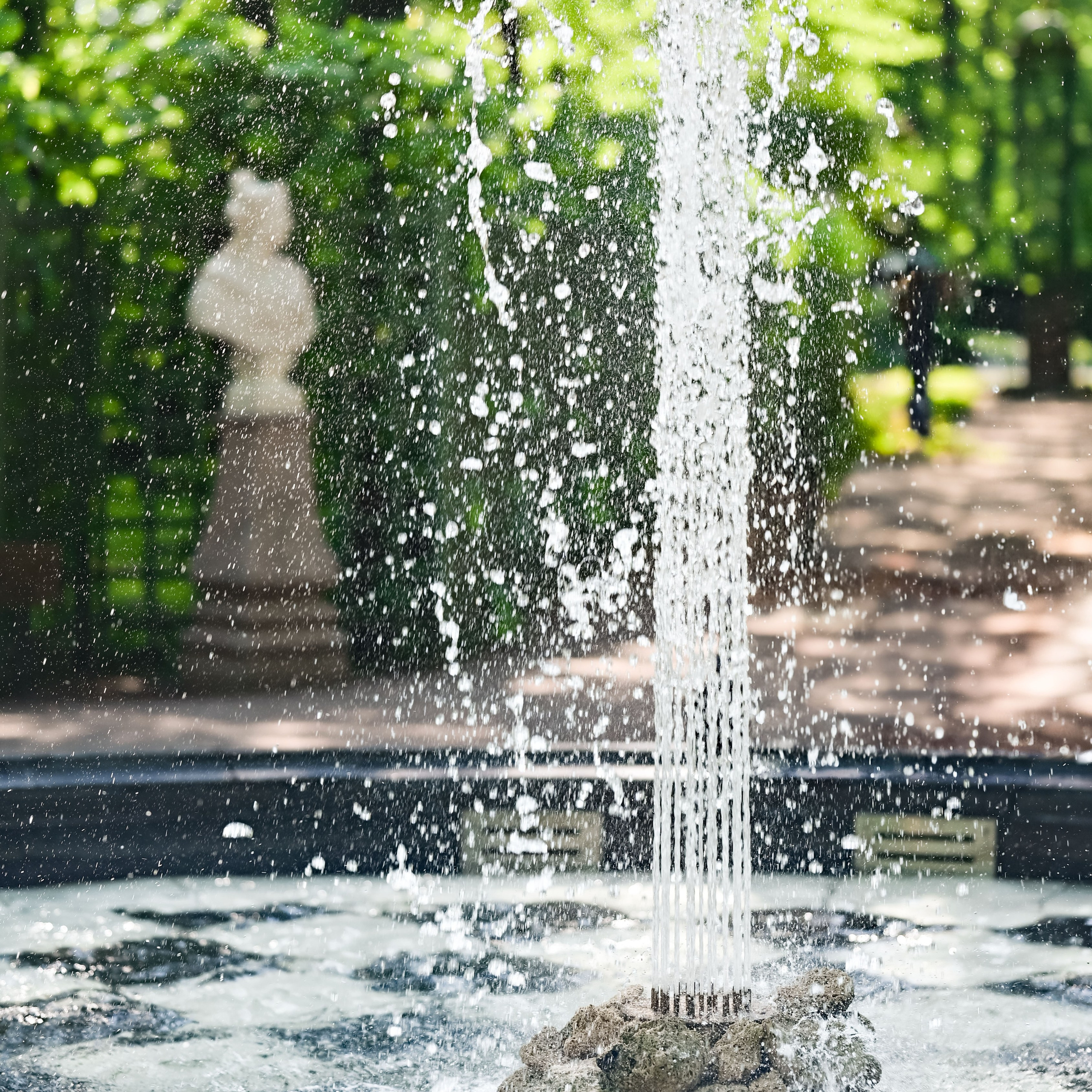. ZDARONOKIA Репортажный фотограф