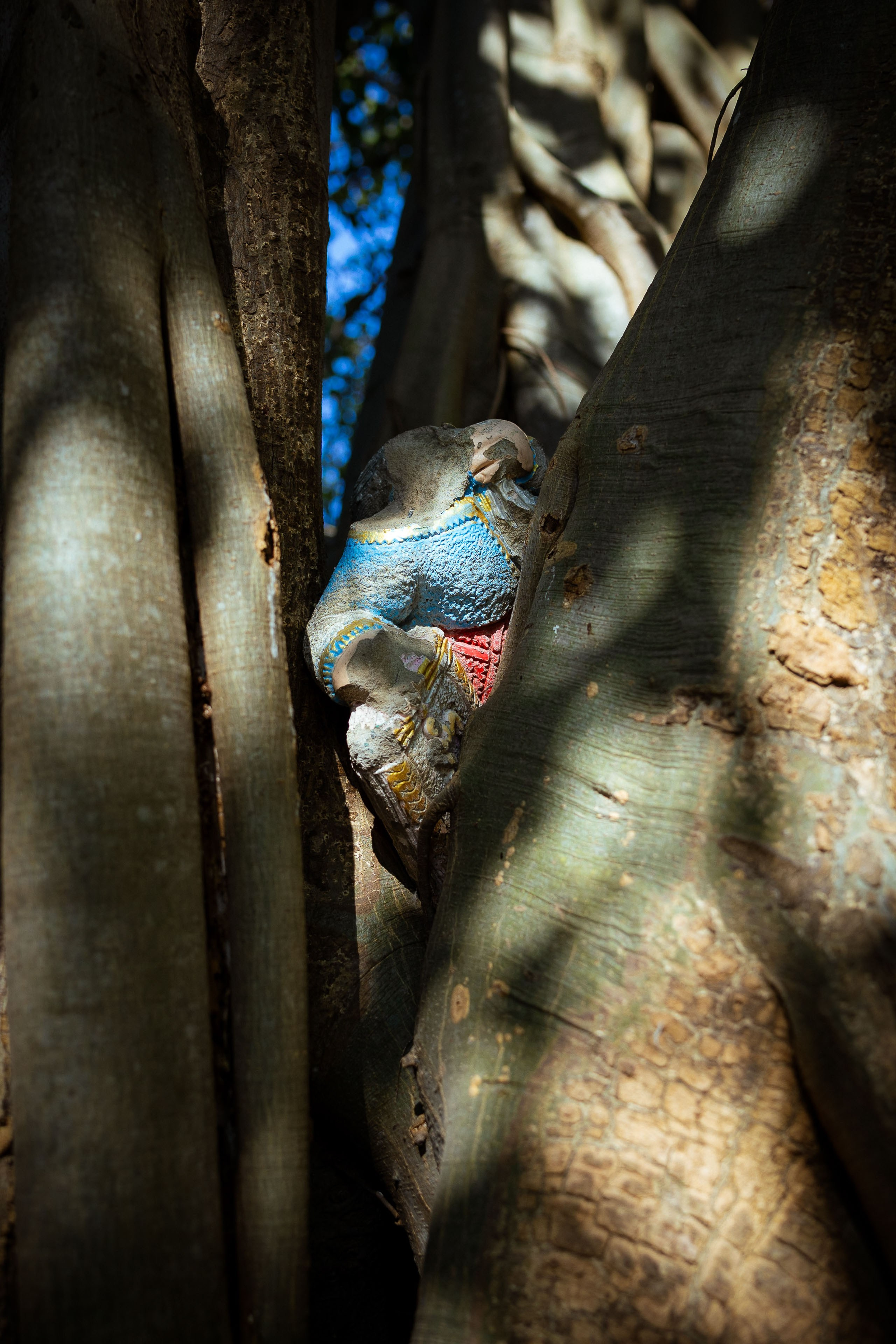 Таиланд (зима 2025). Фотограф Виноградов Константин
