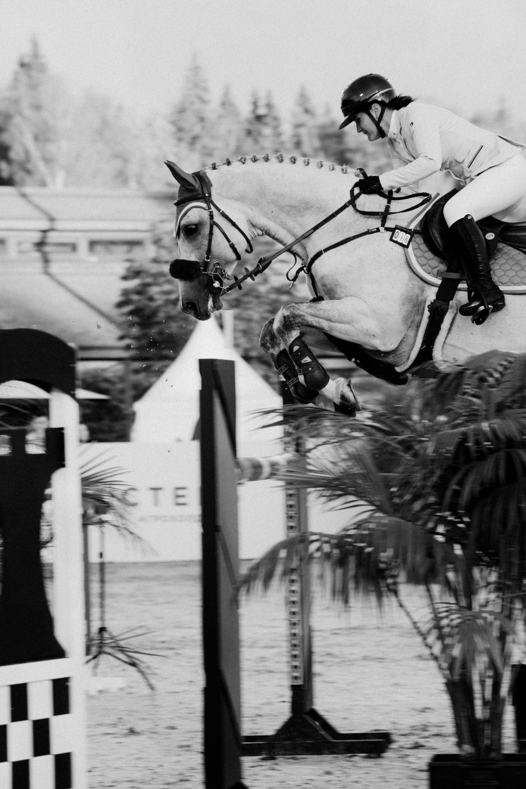 Emerald Stables CUP 2025. Бэкстейдж и репортажный фотограф в Москве Артем Онацко