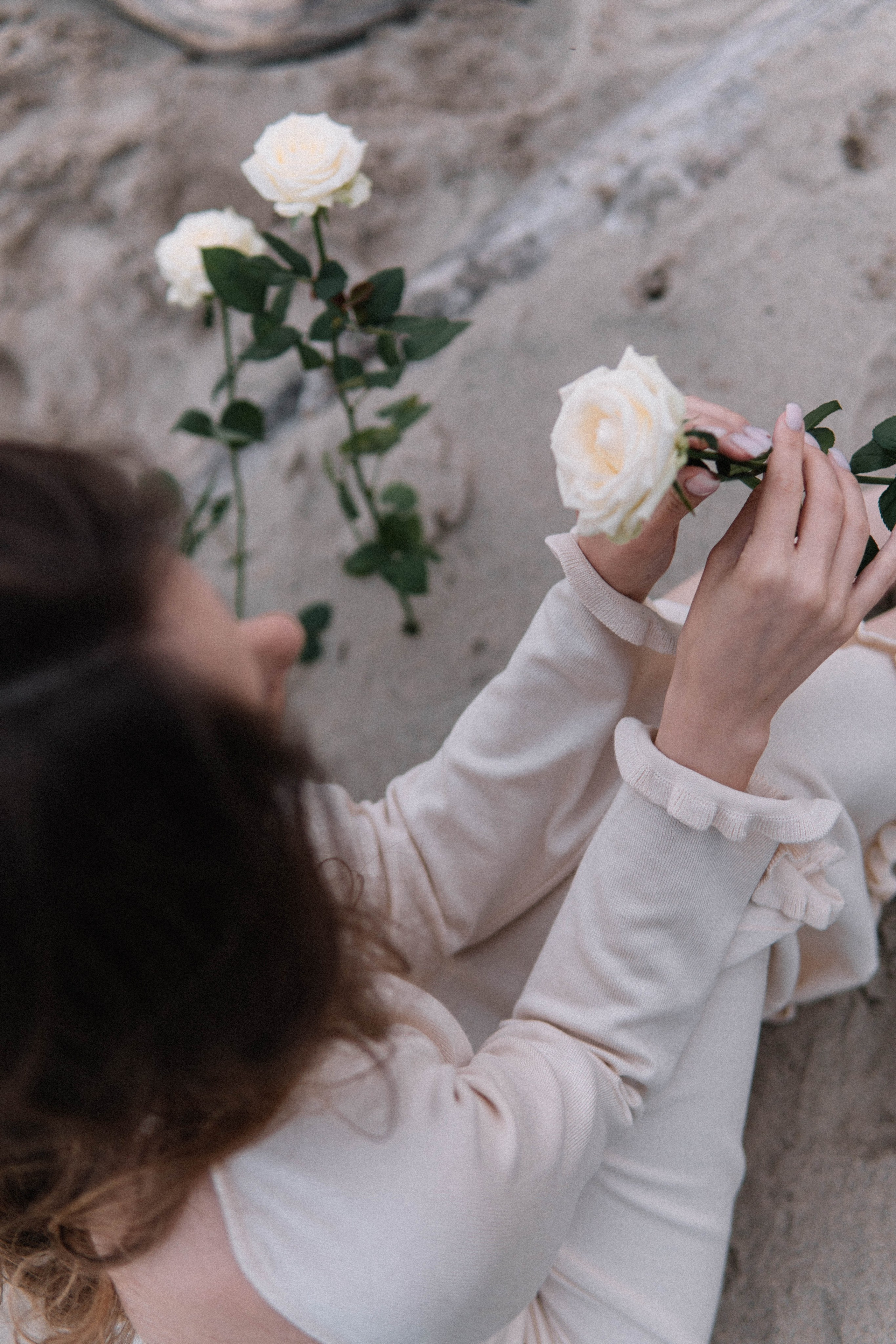 Вероника (пляж). Главная страница