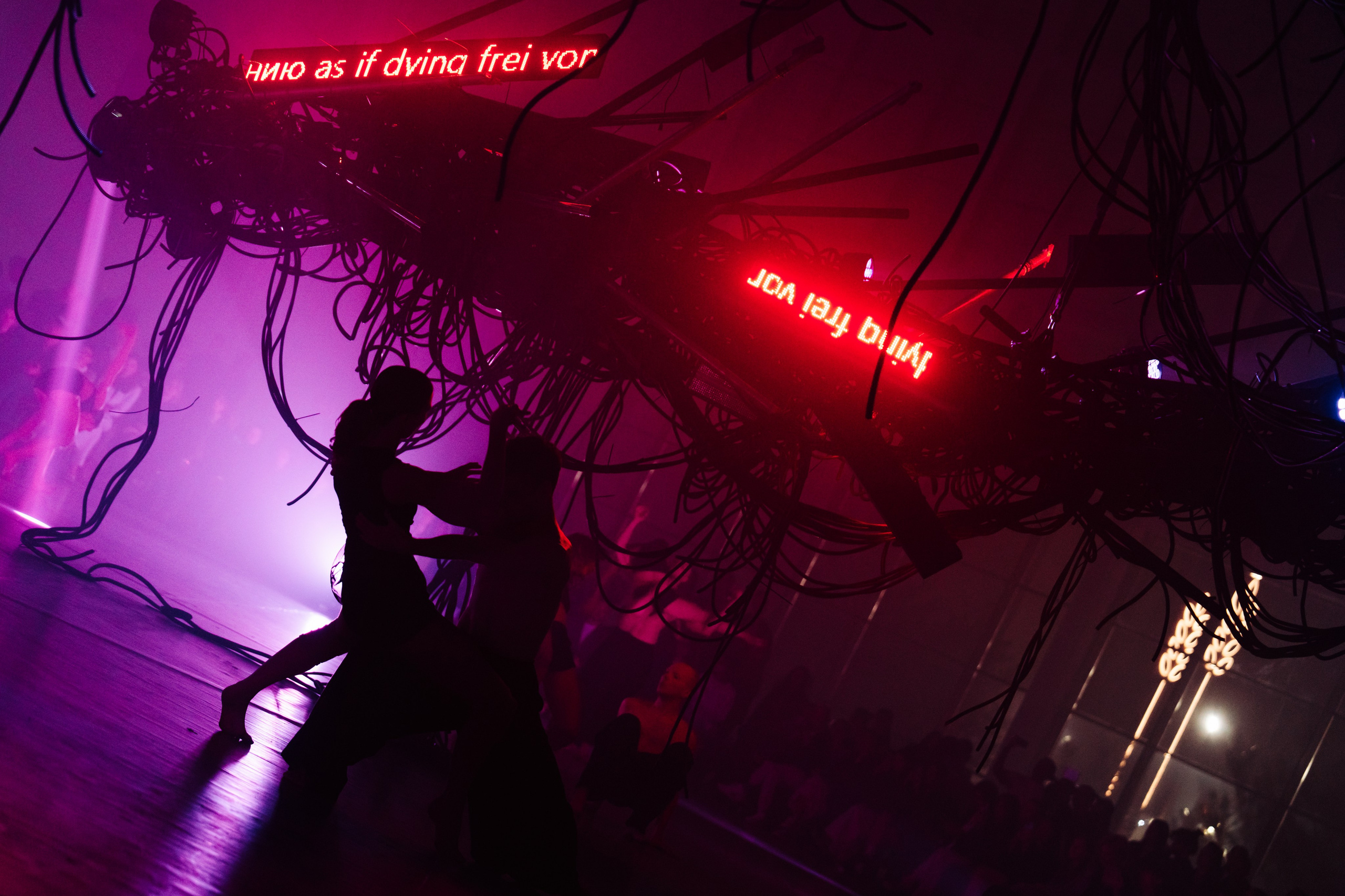 PERFORMA, The Hour of the Horse. @tomrus: Рустам Шагиморданов — фотограф