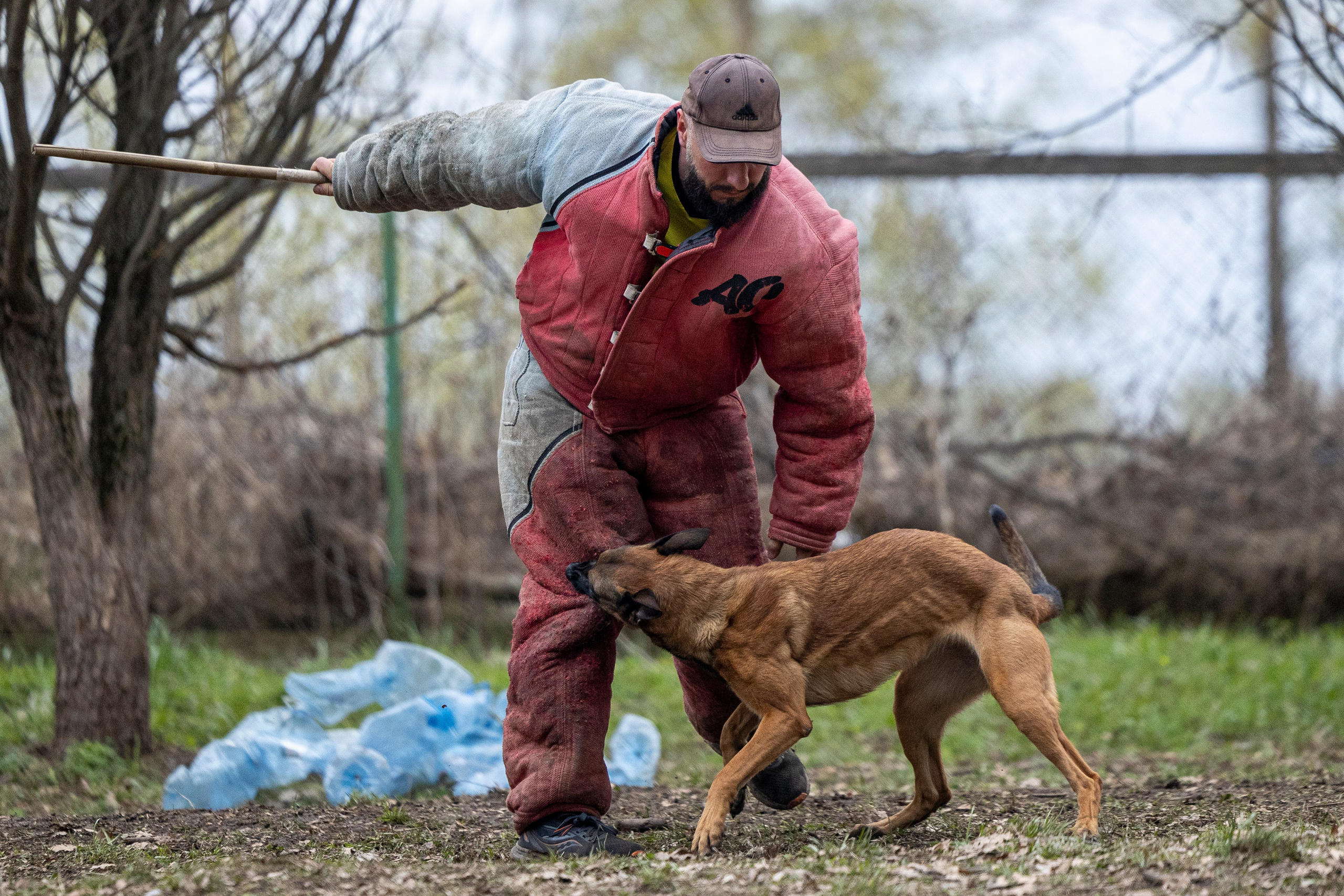 Квалификационные состязания по мондьорингу г. Вологда 11.05.24. Фотограф-анималист Анна Маринич