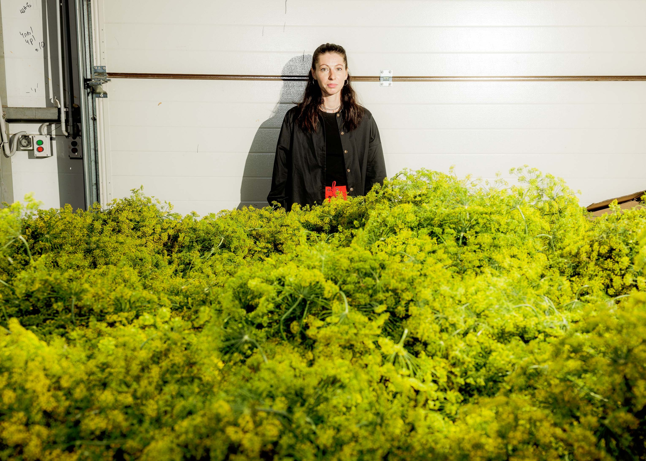 Фуд Сити - Репортаж для Т-Ж