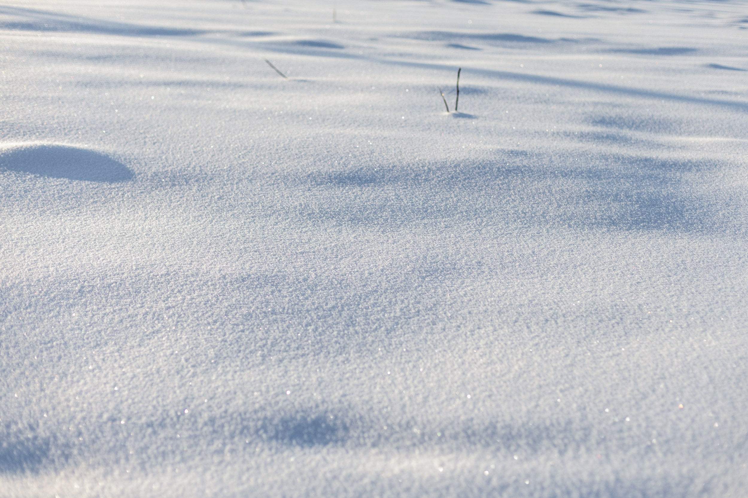 Зима в деревне. Фотограф Александр в Санкт-Петербурге