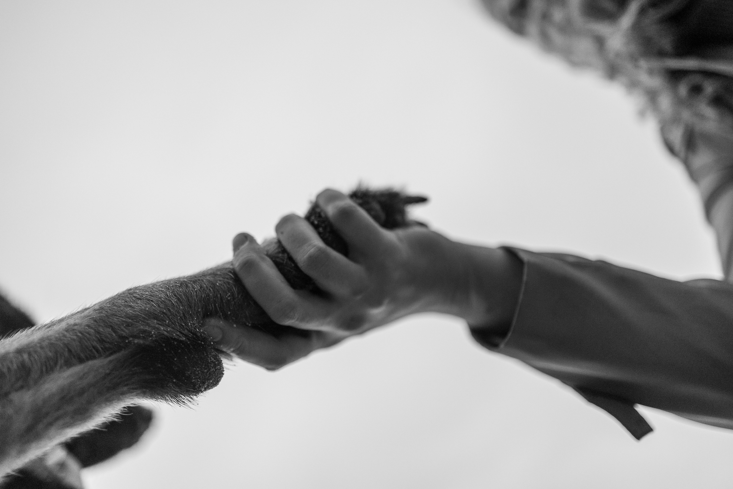 Катя и Агат. Фотограф — Анималист | Санкт-Петербург