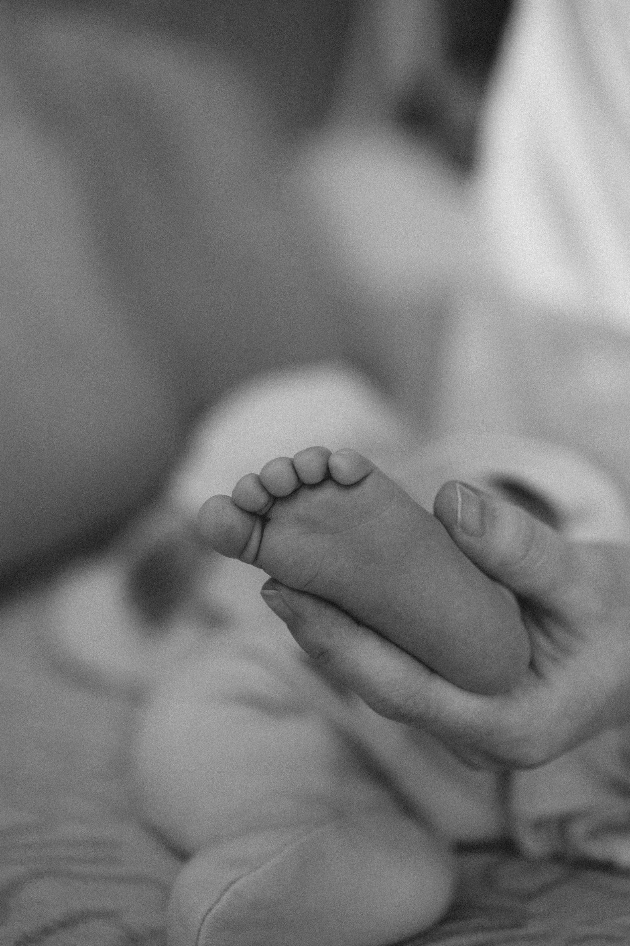 Семейная съемка. Фотограф Елизавета Аскерова