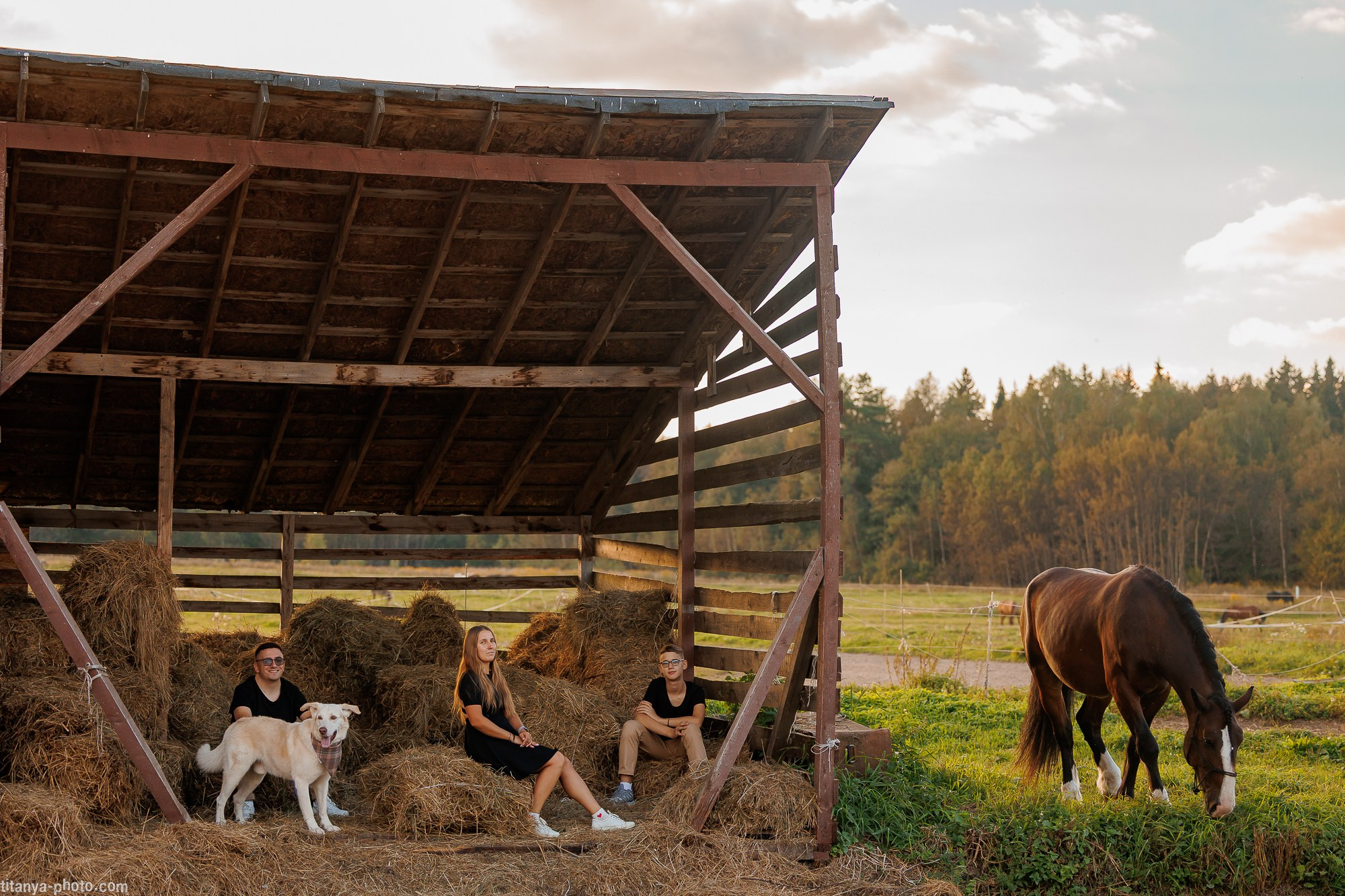 Закатная семейная фотосессия: про Настю и её дружную семью. Фотограф собак, фотограф-анималист Аня Титова (Titanya). Москва