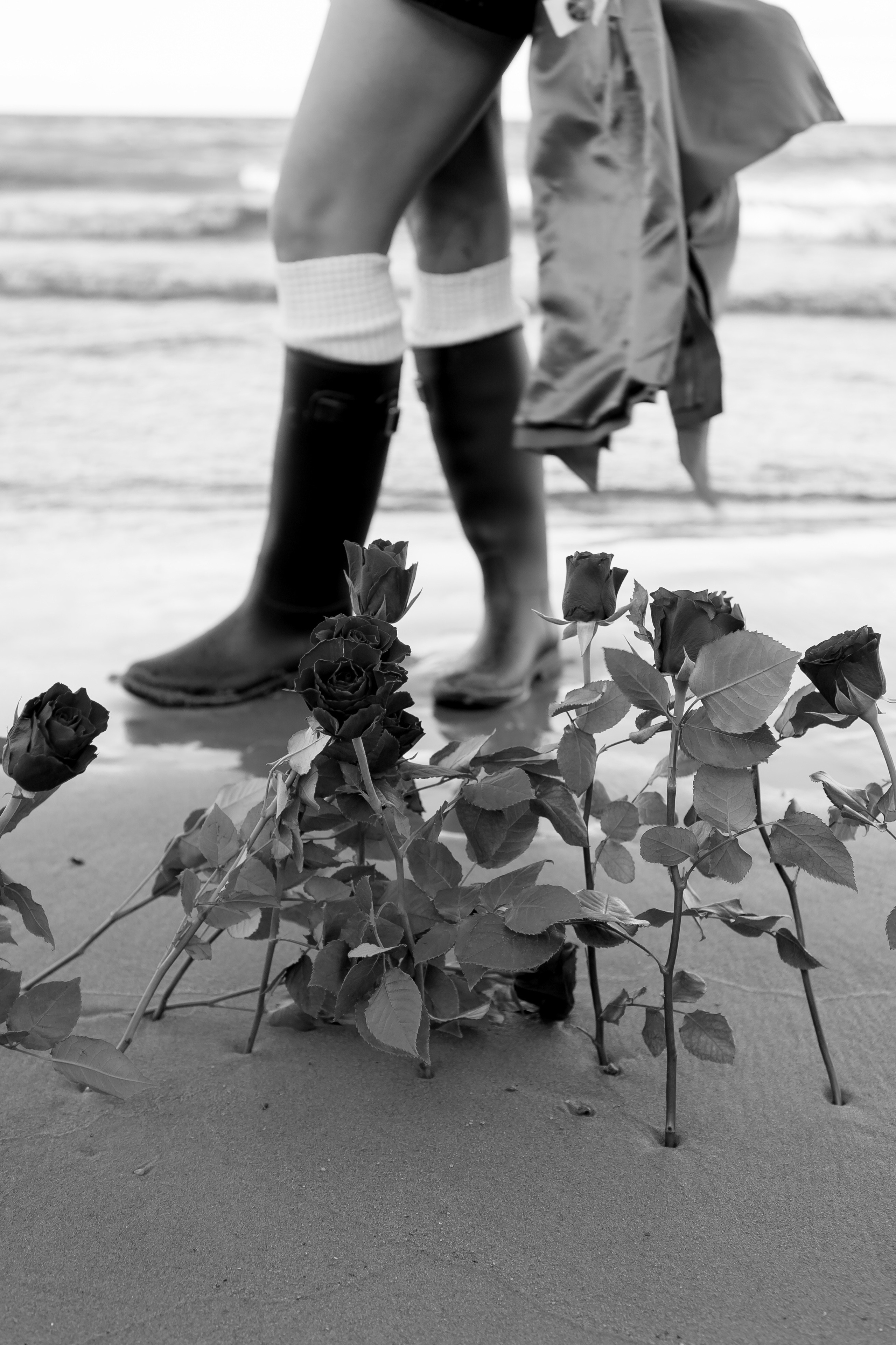 Розы. Профессиональный фотограф, Санкт-Петербург — Виктория Богомолова