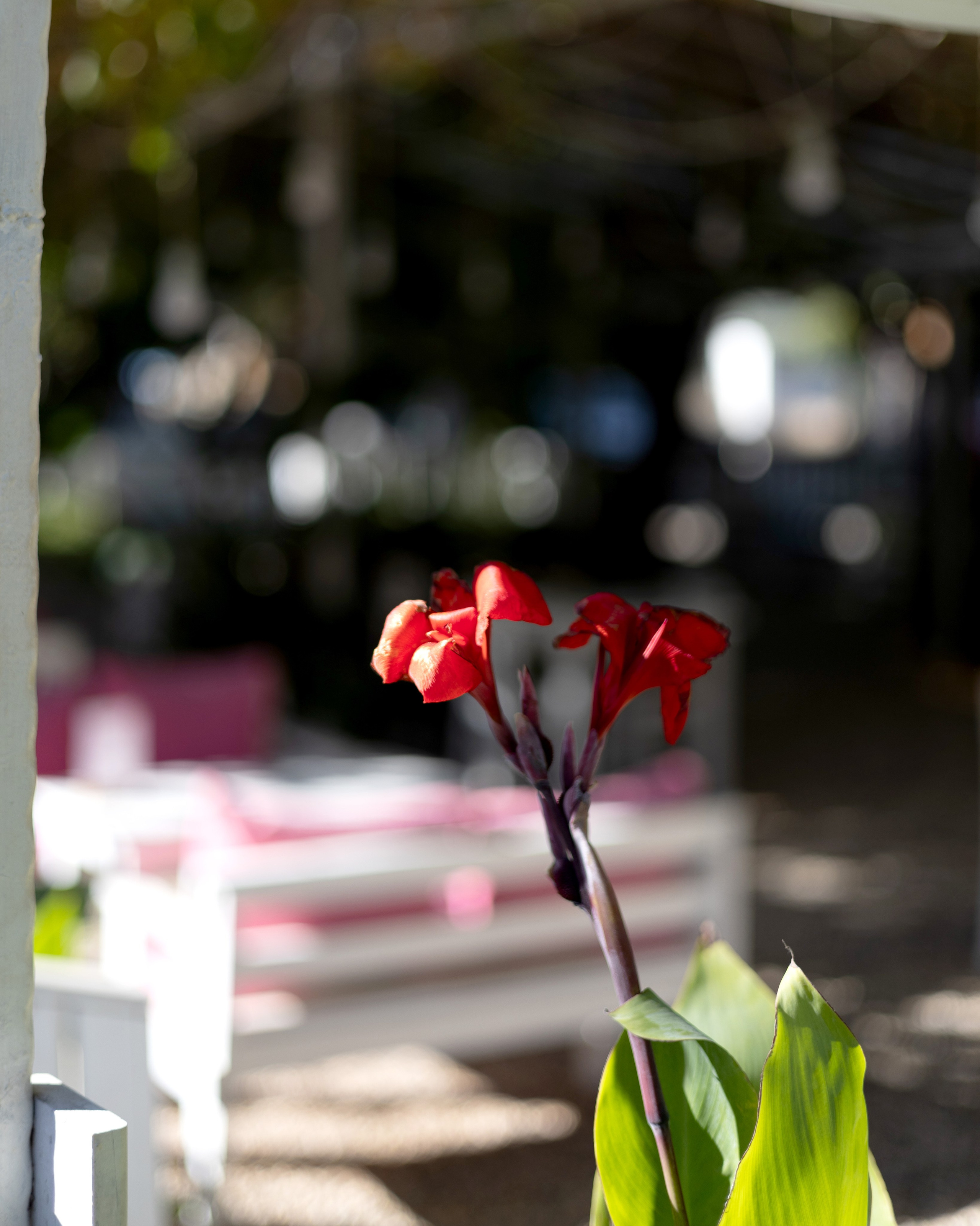 Travel. Индивидуальная и семейная съёмка. Москва, Наталья Самохвалова