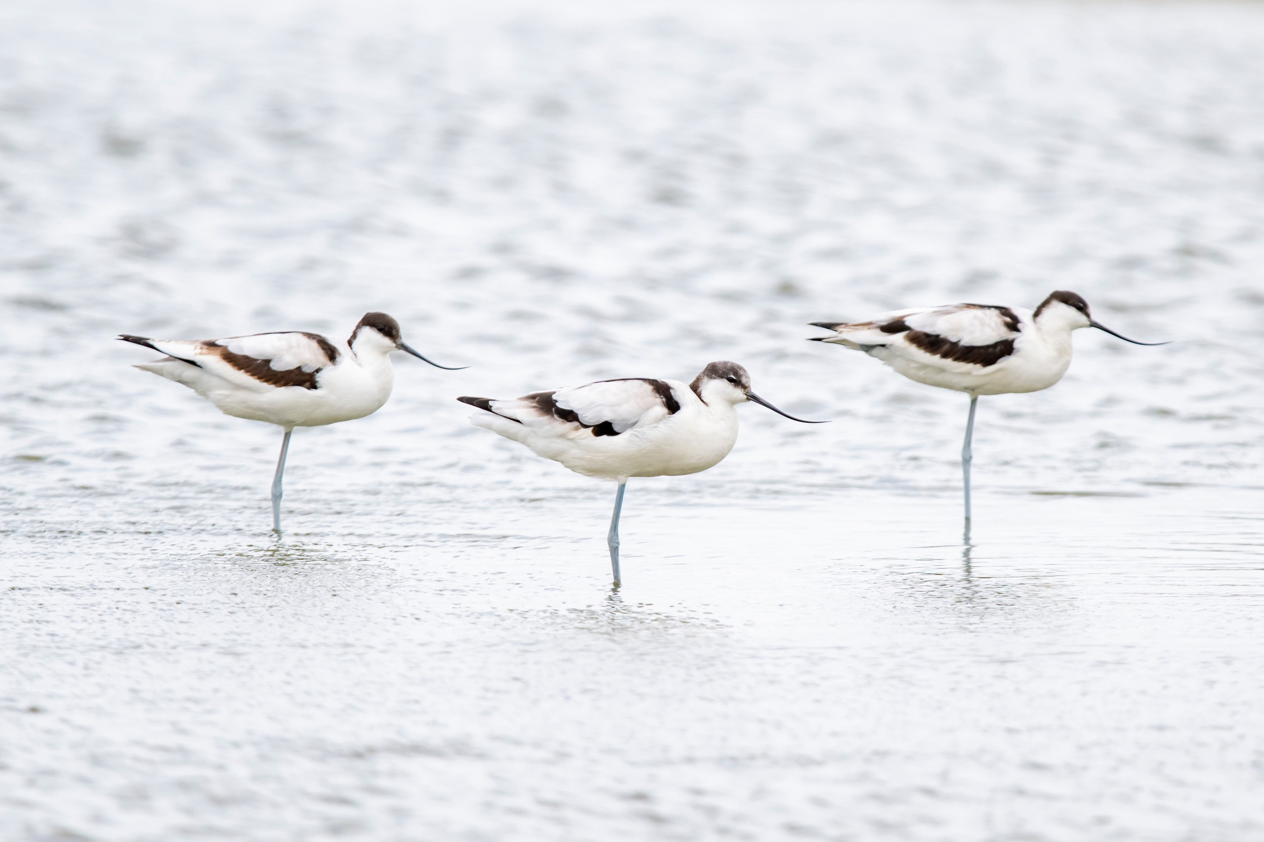 Природа Дагестана, сентябрь 2024. Foto-Zuev фотография как искусство