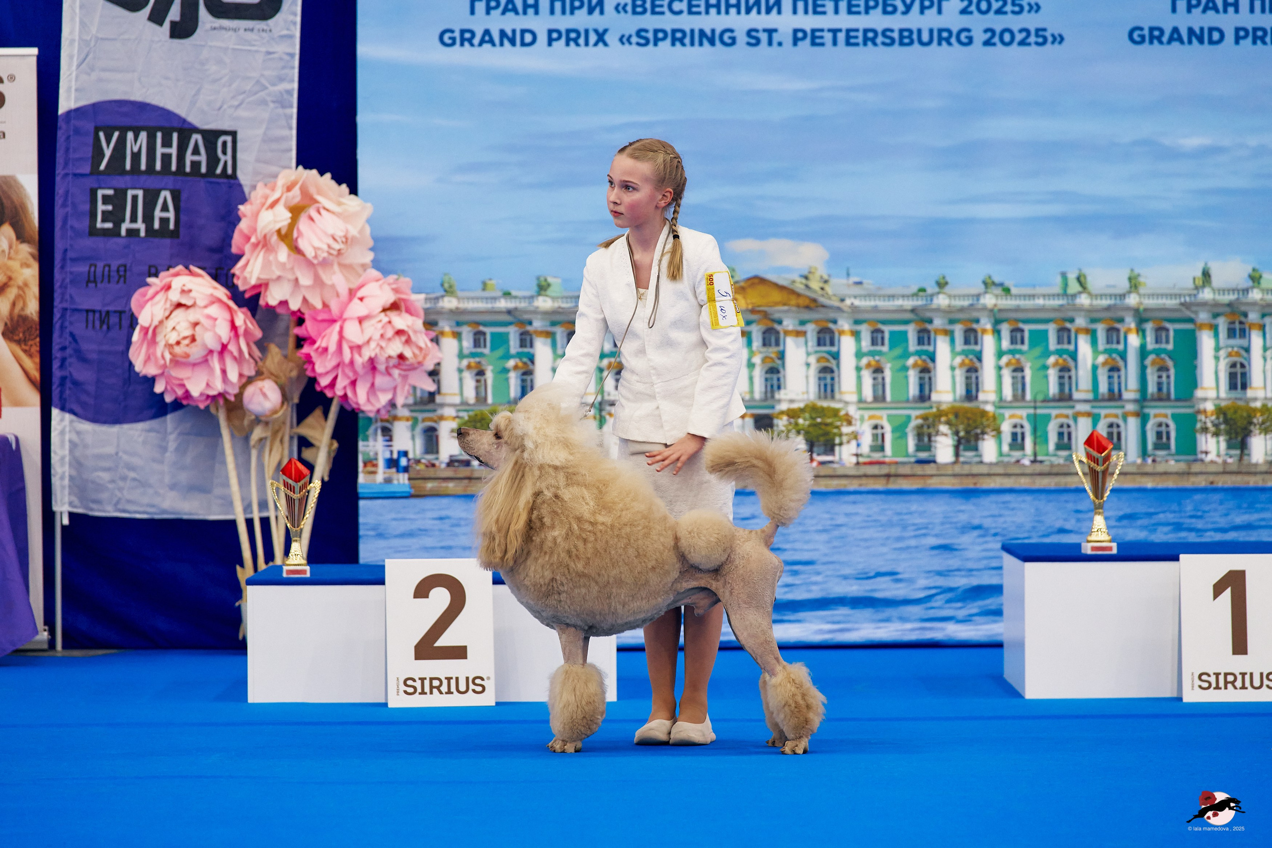 27.04.2025 | "Петербург-Элита 2025" & «КУБОК «ЭЛИТЫ»-2025»