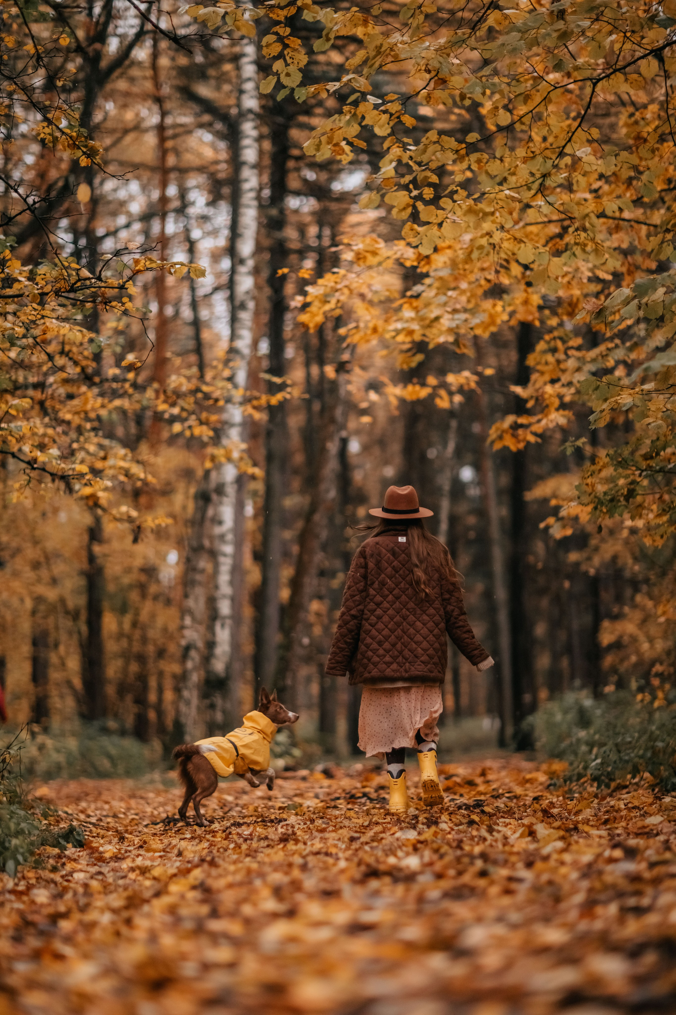 Марина и Энс в осеннем дождливом лесу. Семейный фотограф анималист Мария Крючкова