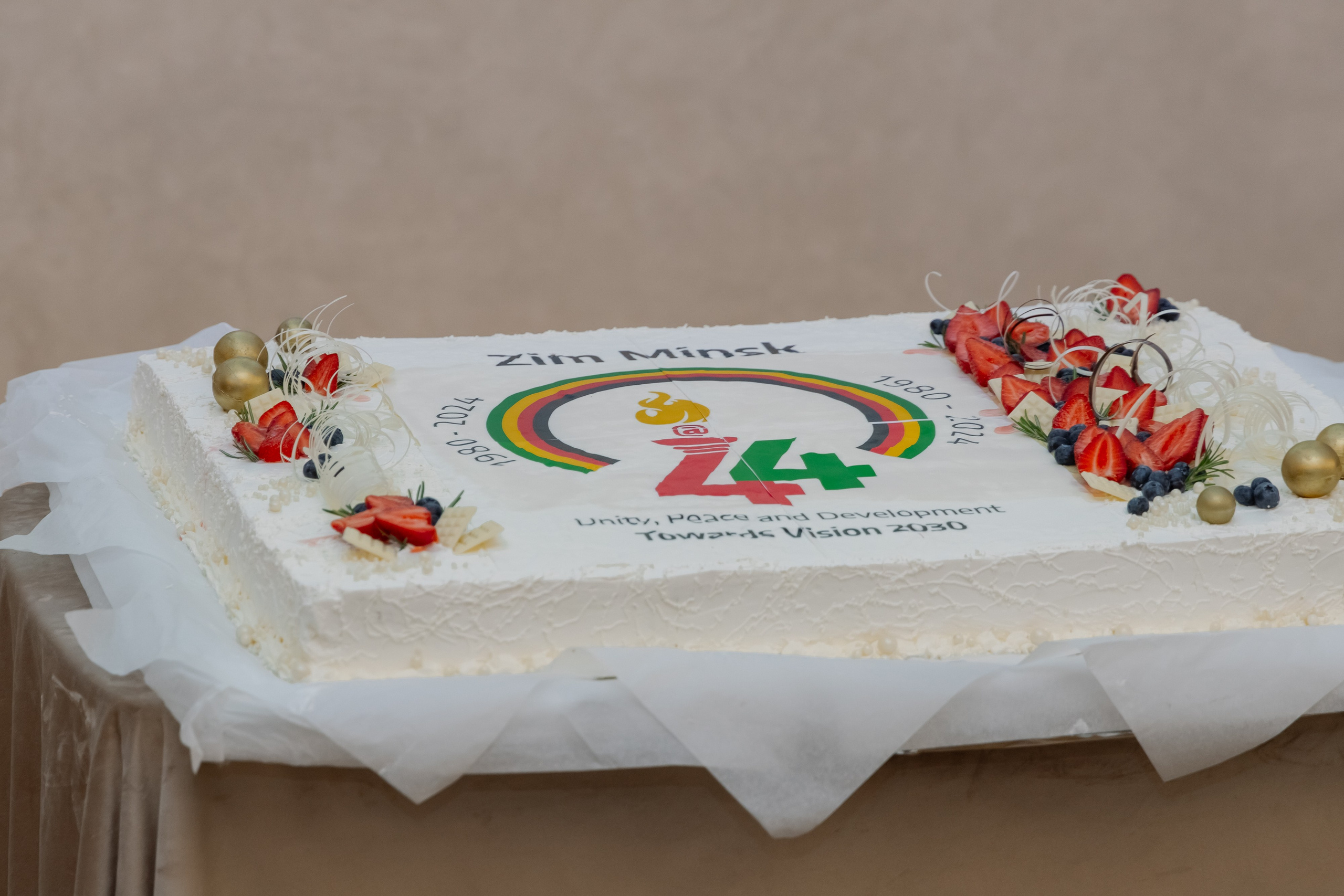 Фотосъемка делегации Посольства Зимбабве в Минске. Свадебный фотограф в Минске/Беларуси Сергей Спиридонов