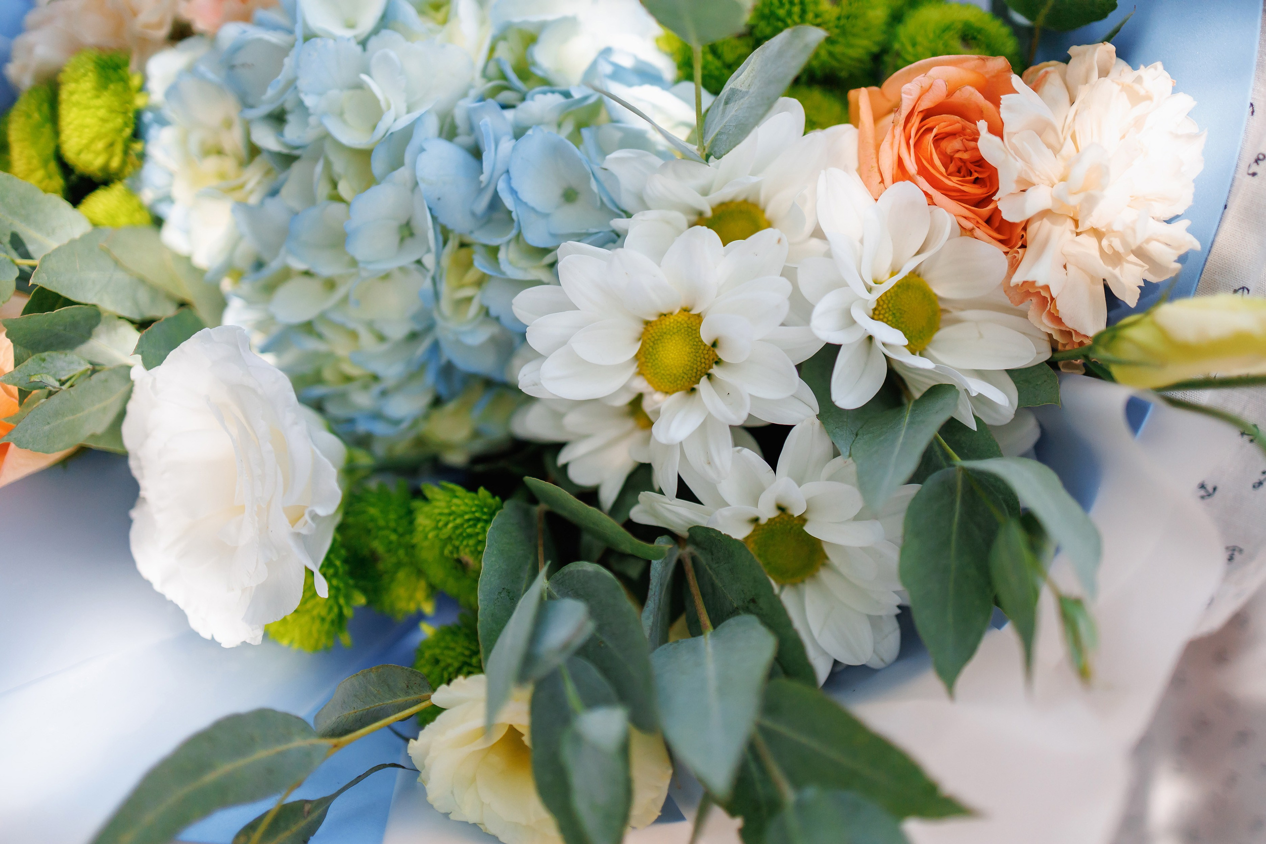 Анатолий и Ирина