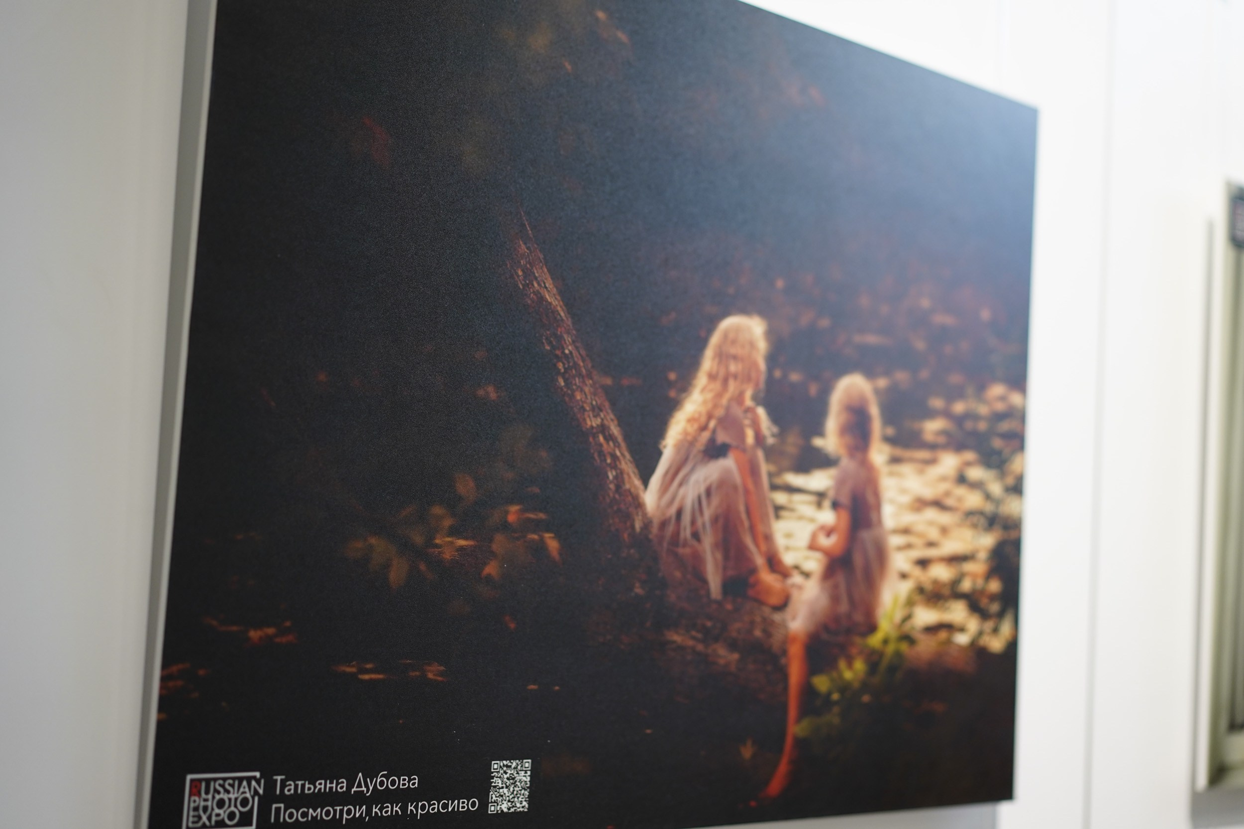 My achievements and education. Tatyana Dubova. Portrait and Family Photographer, Saint Petersburg