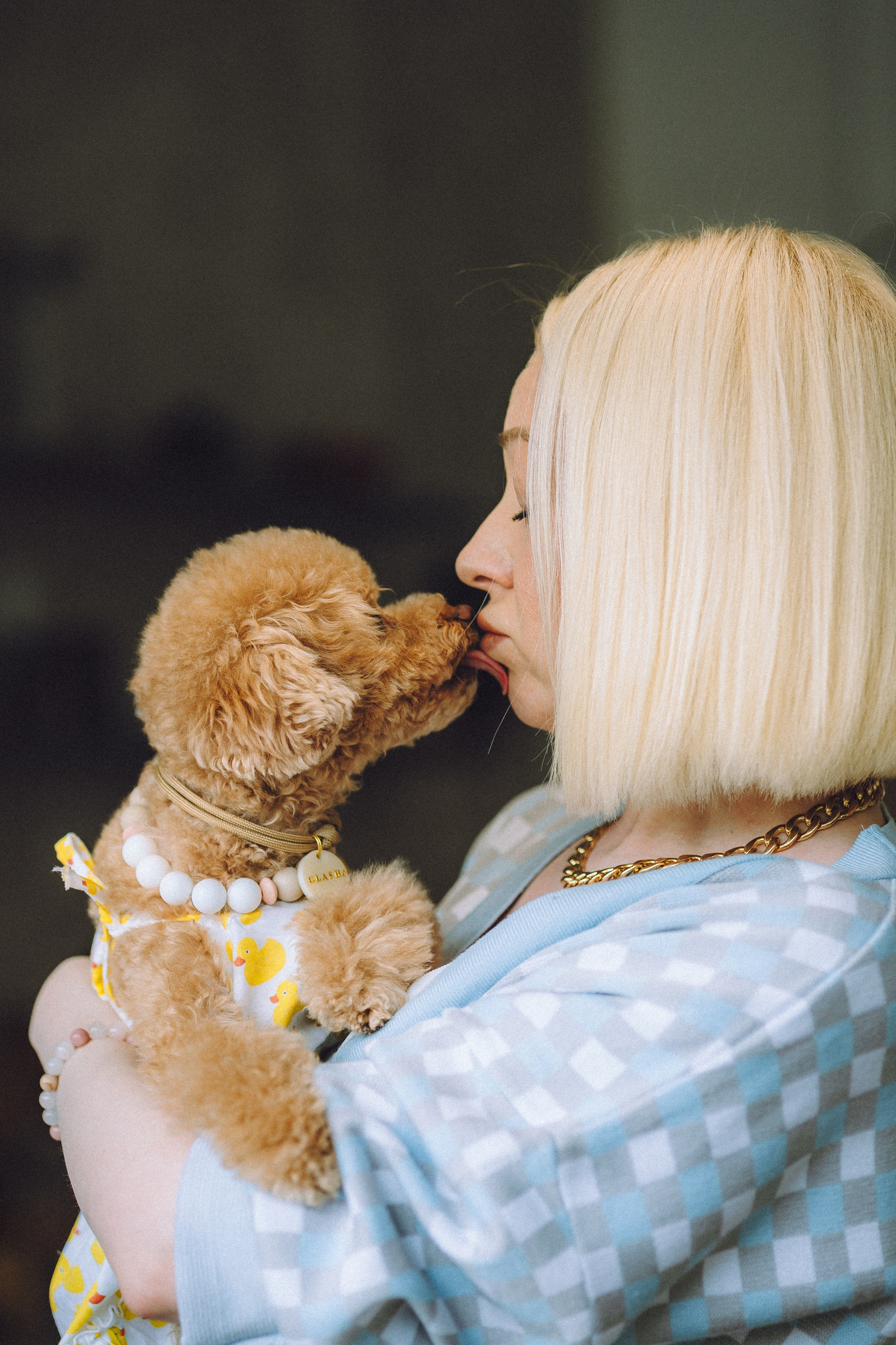 День Рождения пуделя Глаши