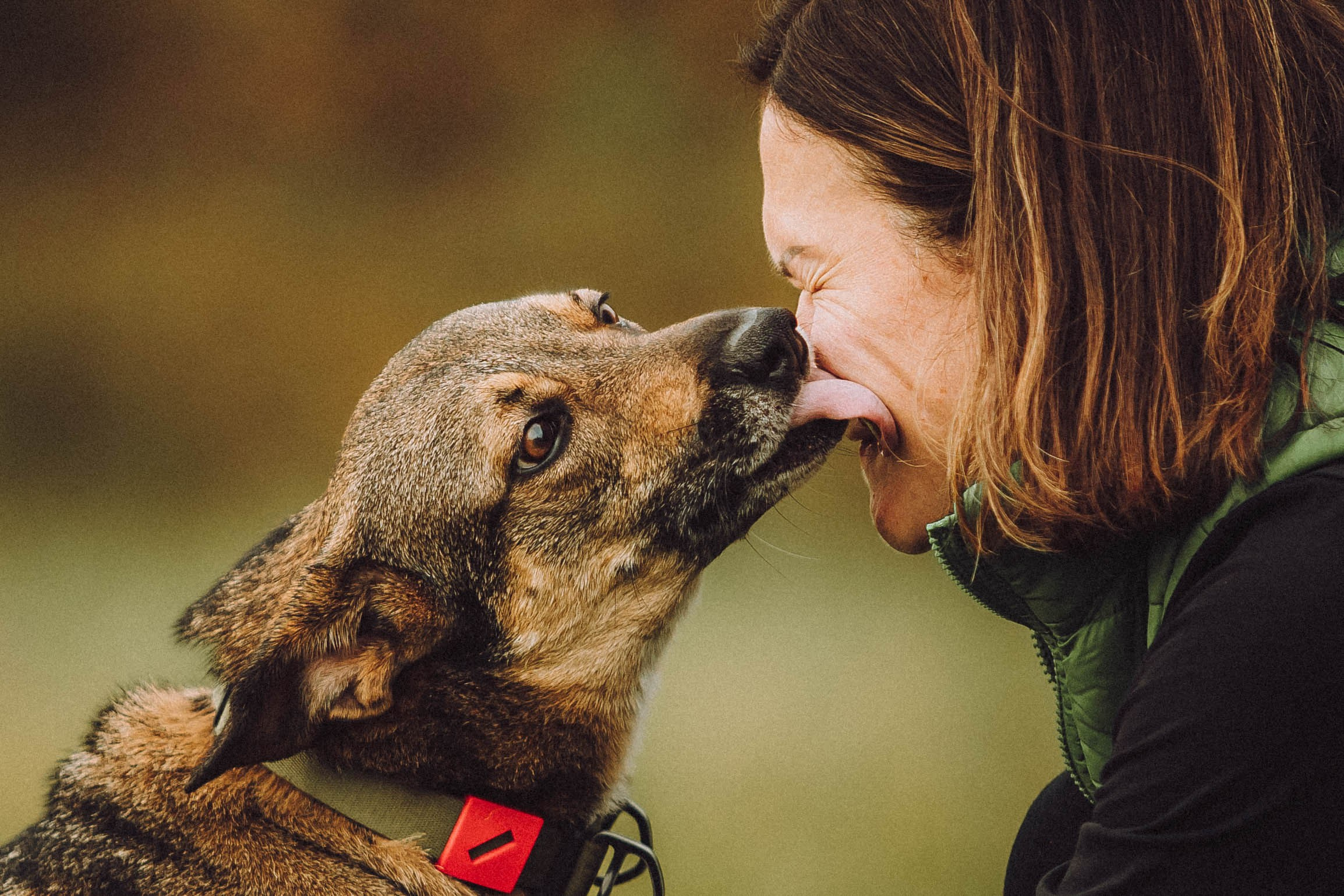 Аня, Нео и Луна