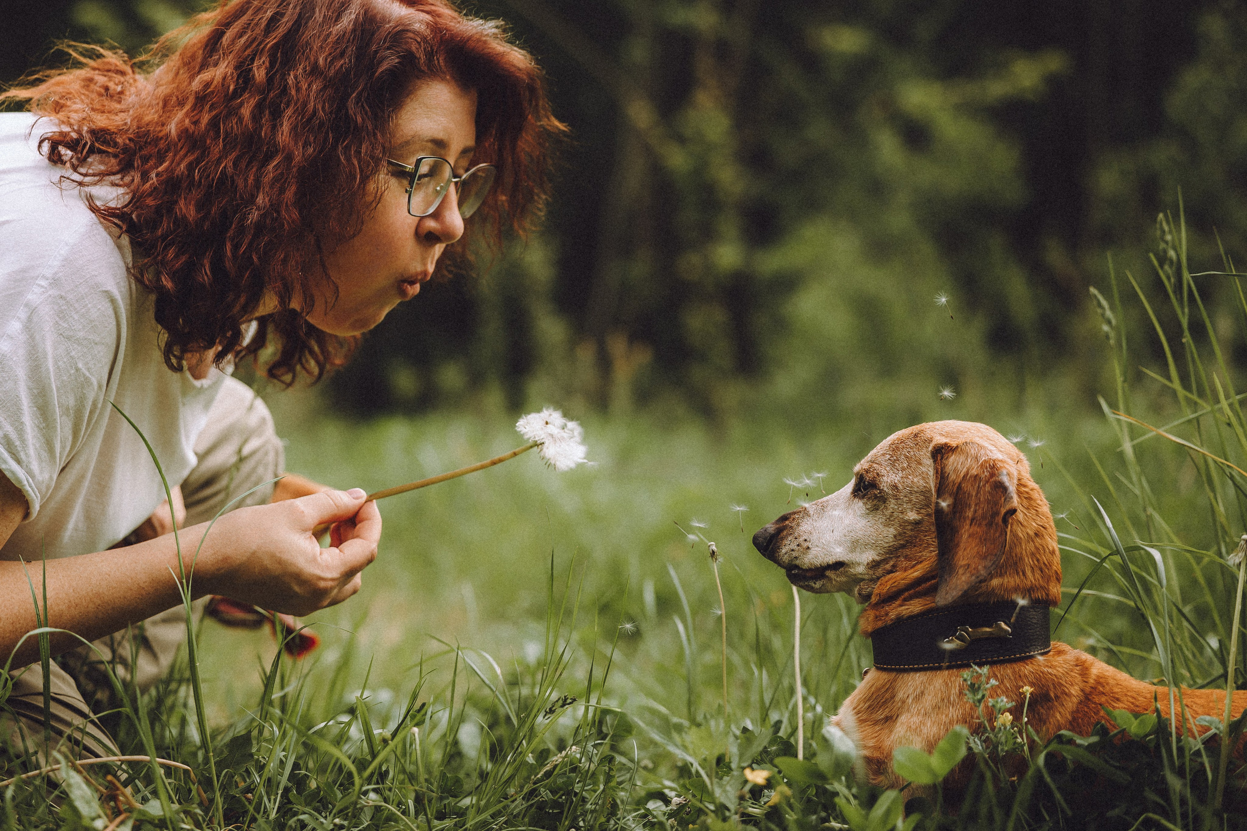 Груша, Данни, Фунтик и их семья