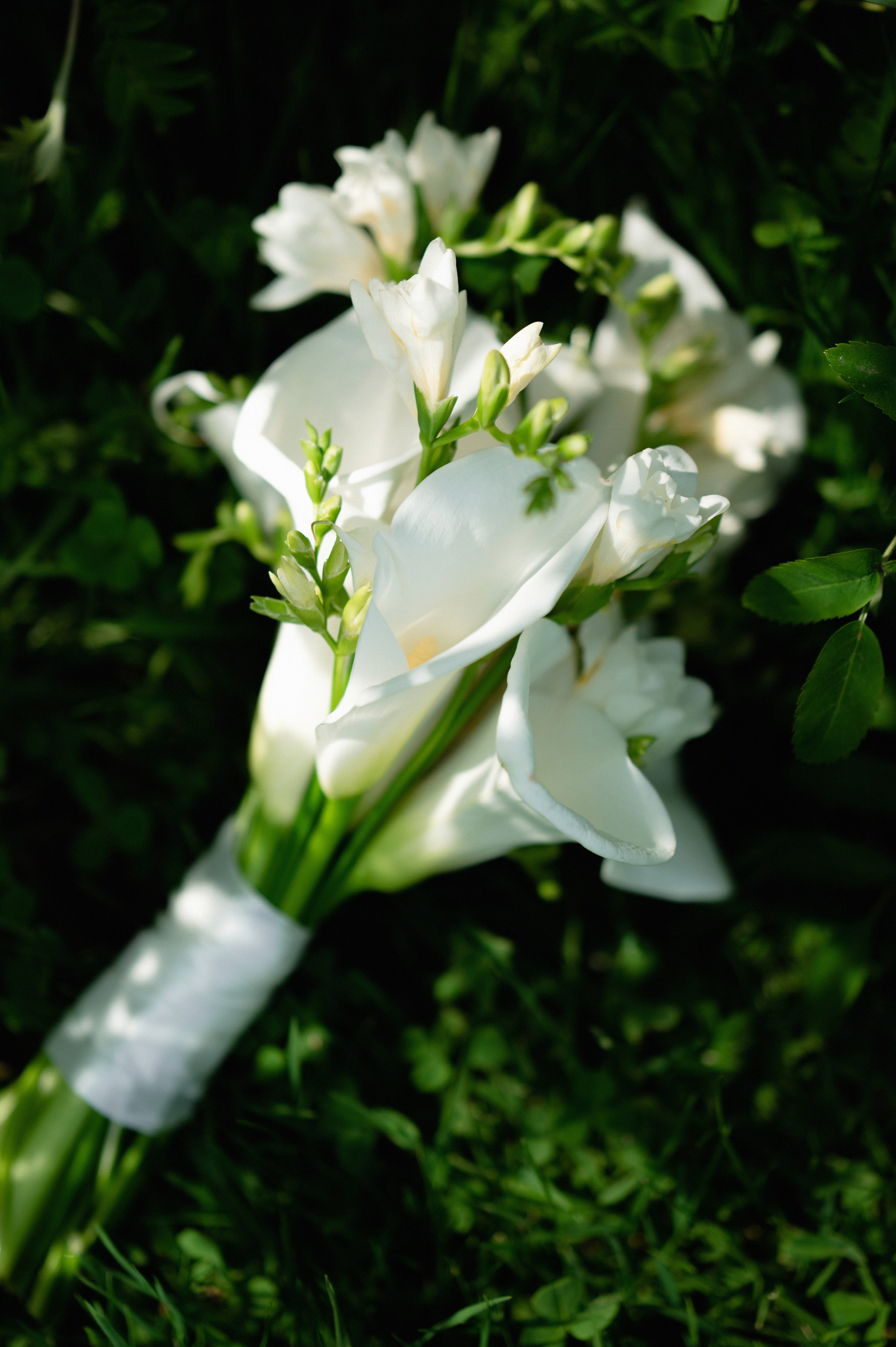 Алина & Василий. Свадебный и семейный фотограф Тюмень Екатеринбург Москвина Алёна