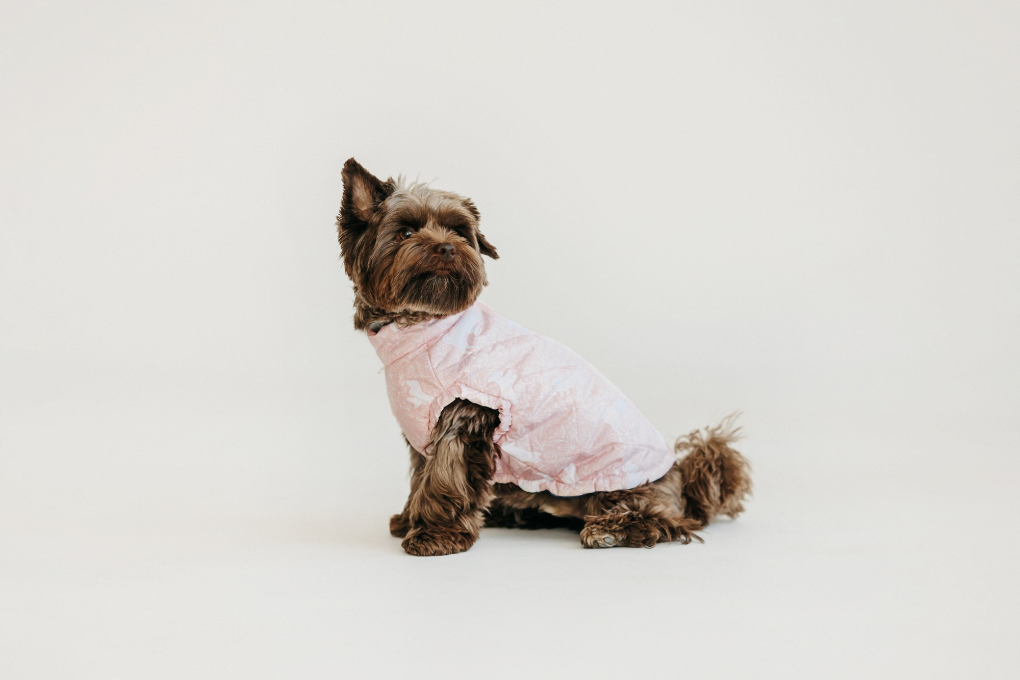 Одежда Lapa`s brand. Фотограф-анималист Елена Радченко, Москва