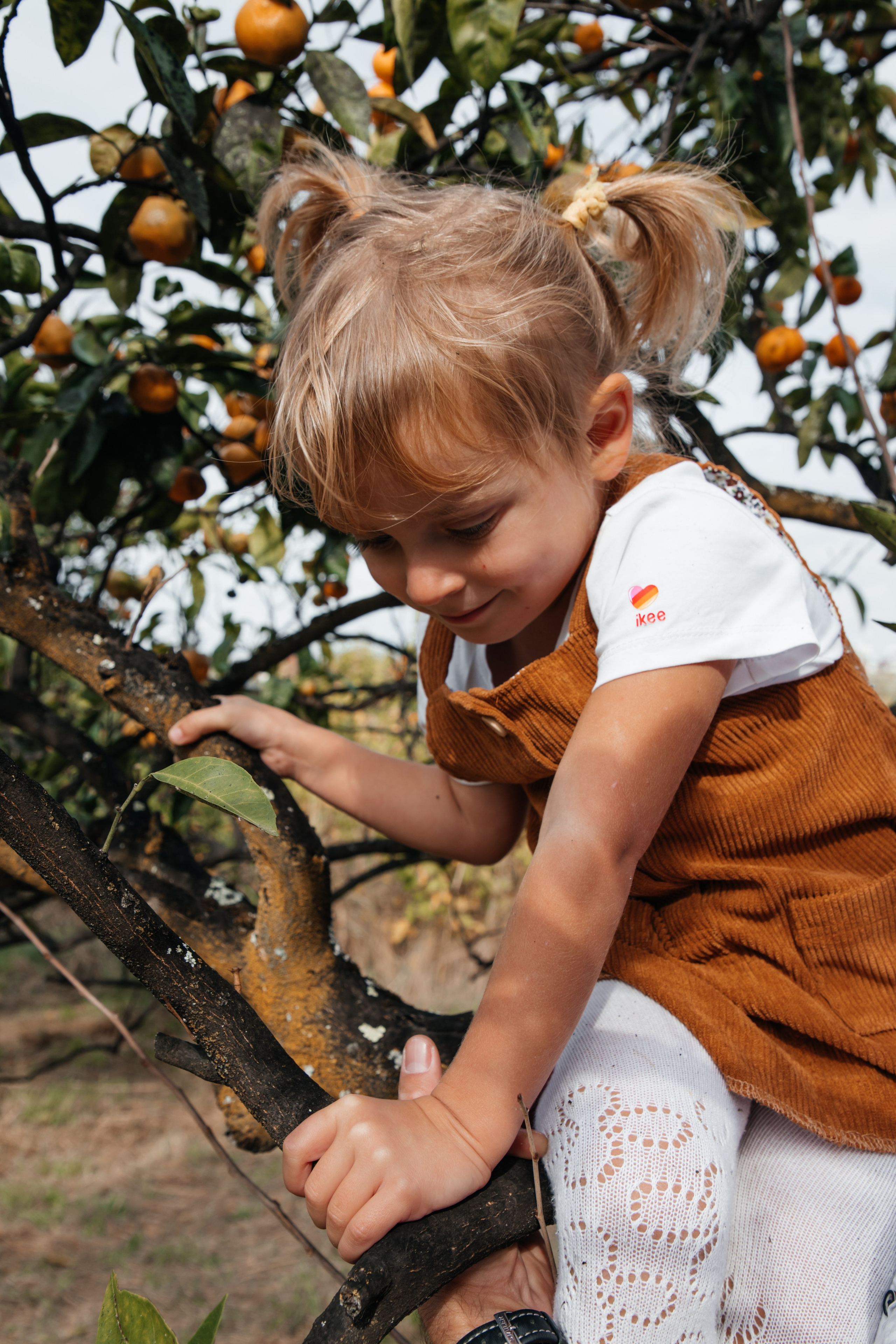 Мандариновое настроение. Фотограф Сочи, Екатеринбург, Евгения Ефимова