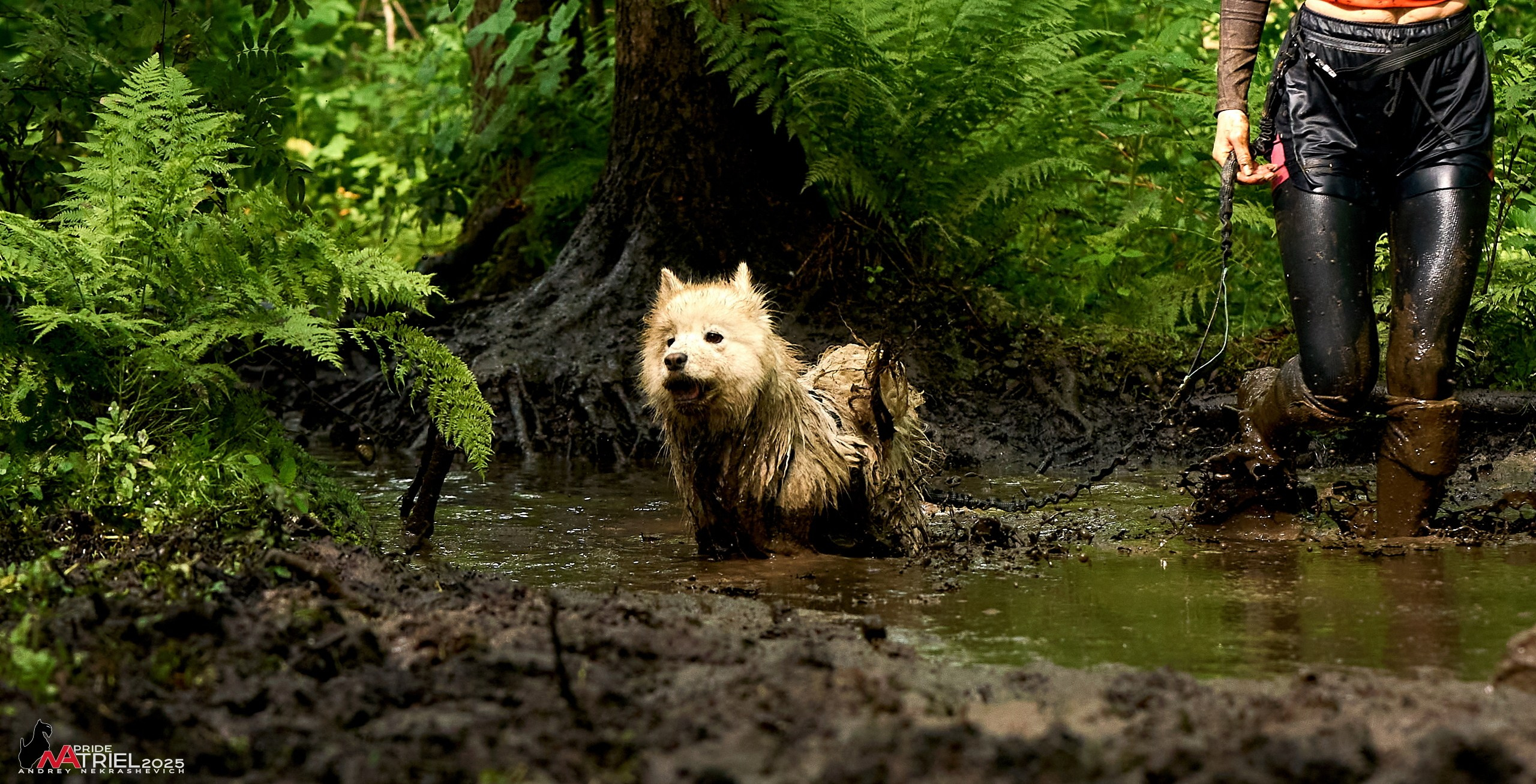 Russian Extreme Dog Trail — 2025