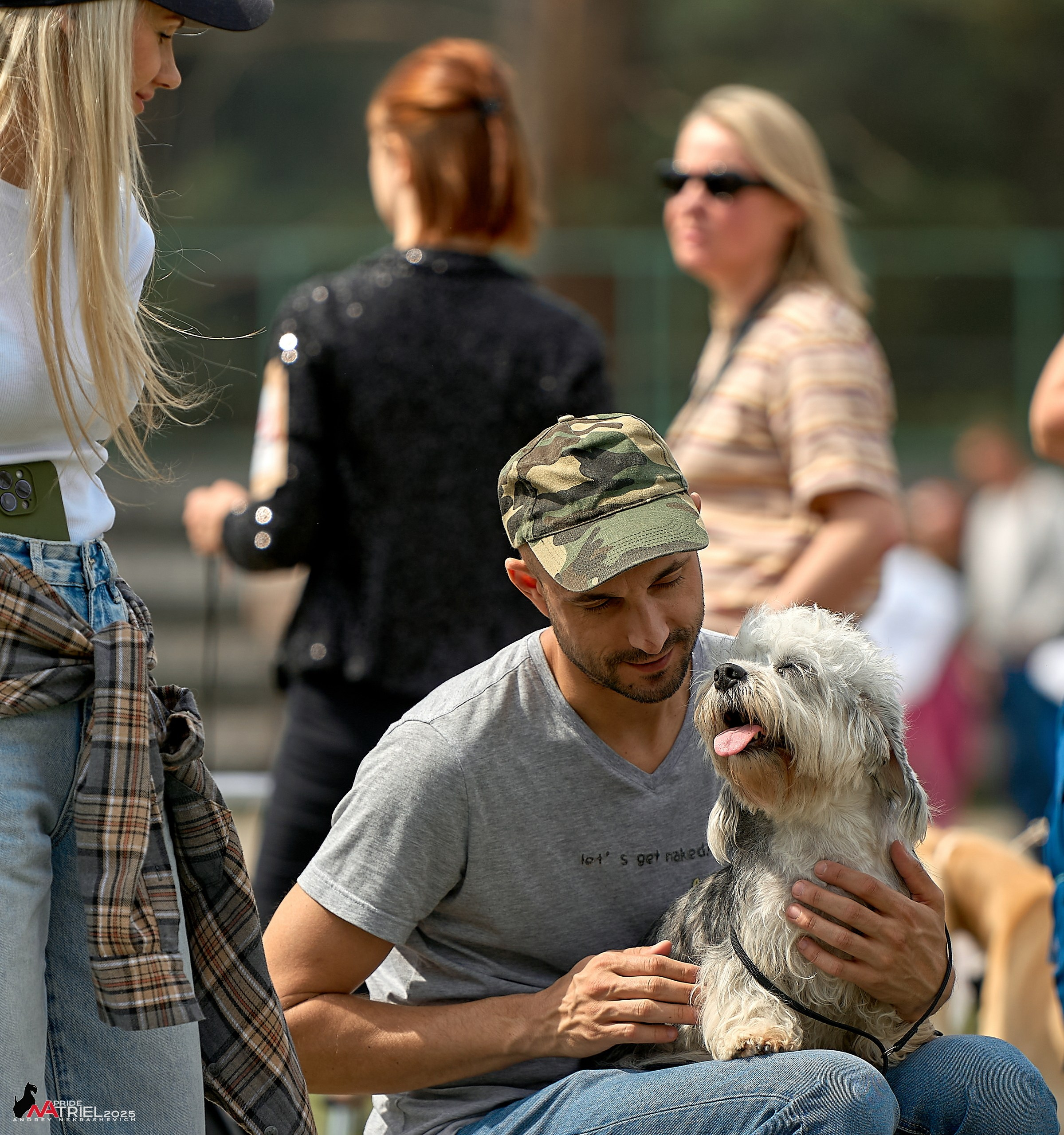 Выставка собак Суздаль-Владимир