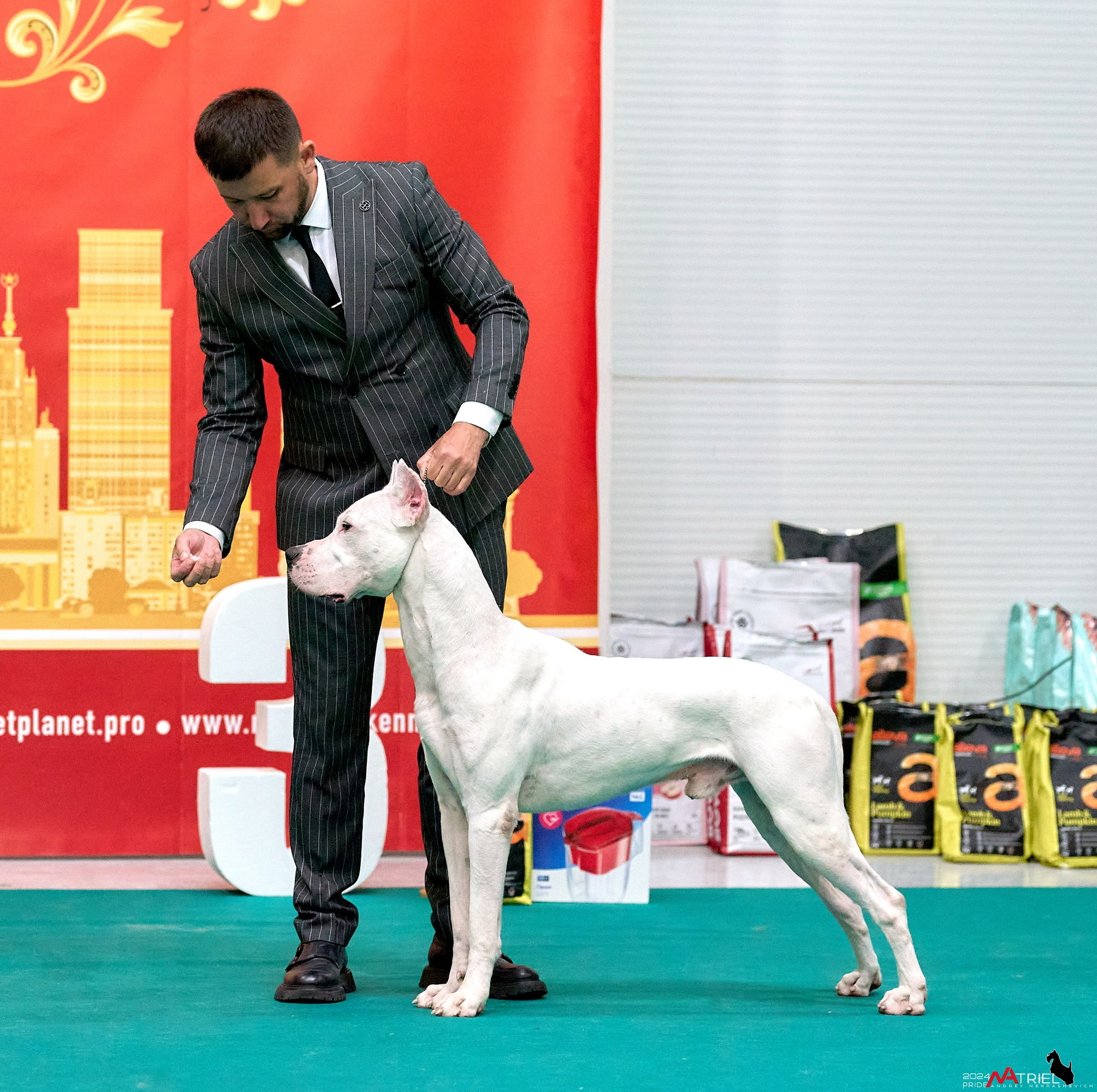 Съемка на выставке в Крокус