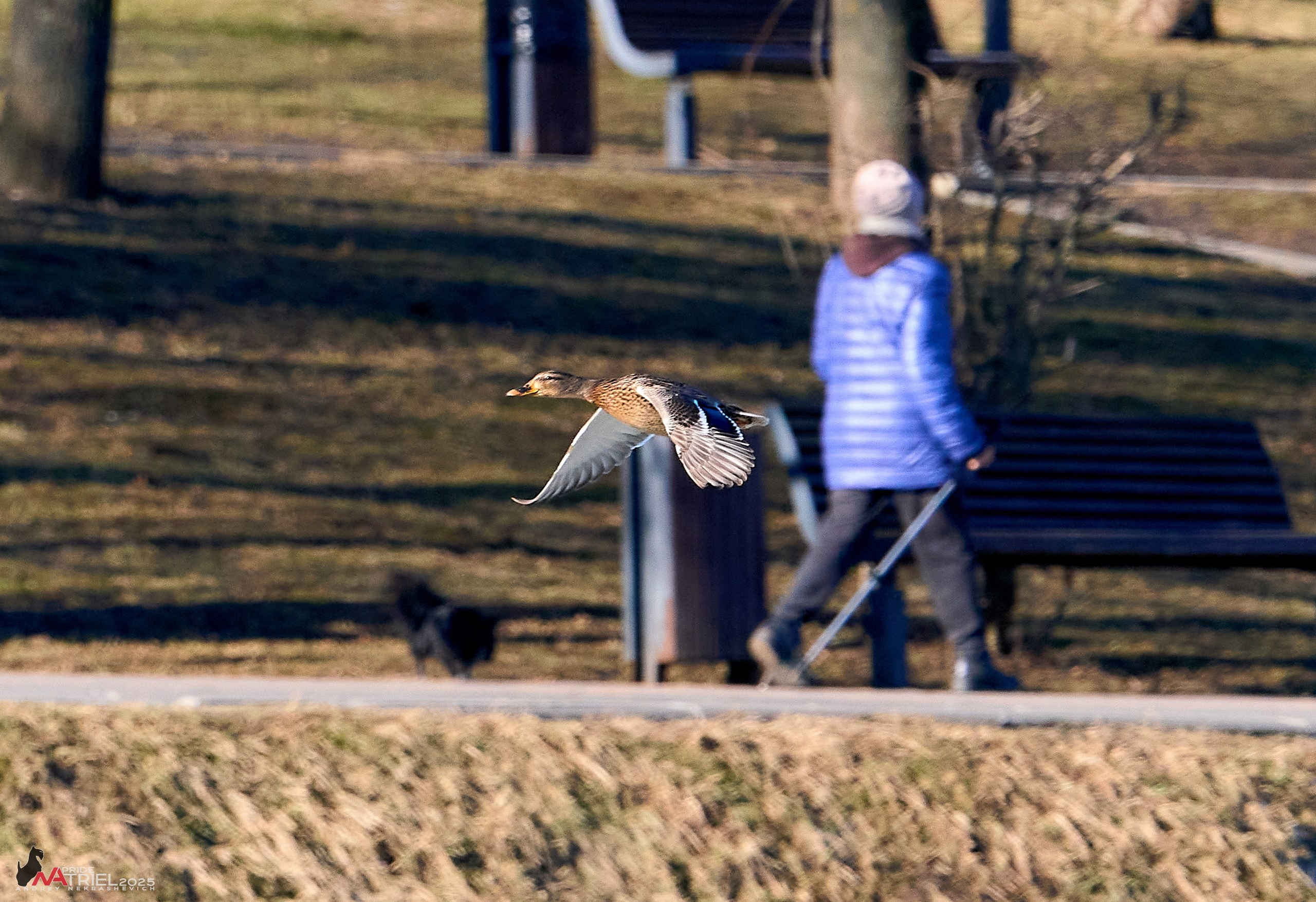 Фотопрогулка в Бутово