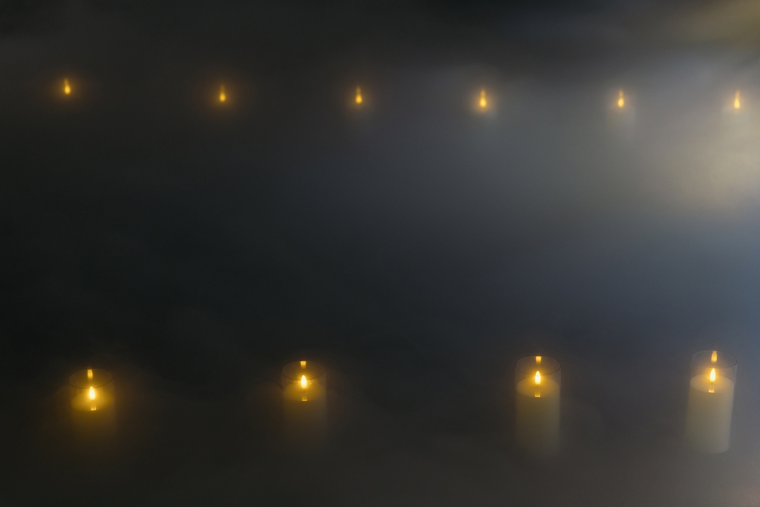 Дмитрий и Екатерина