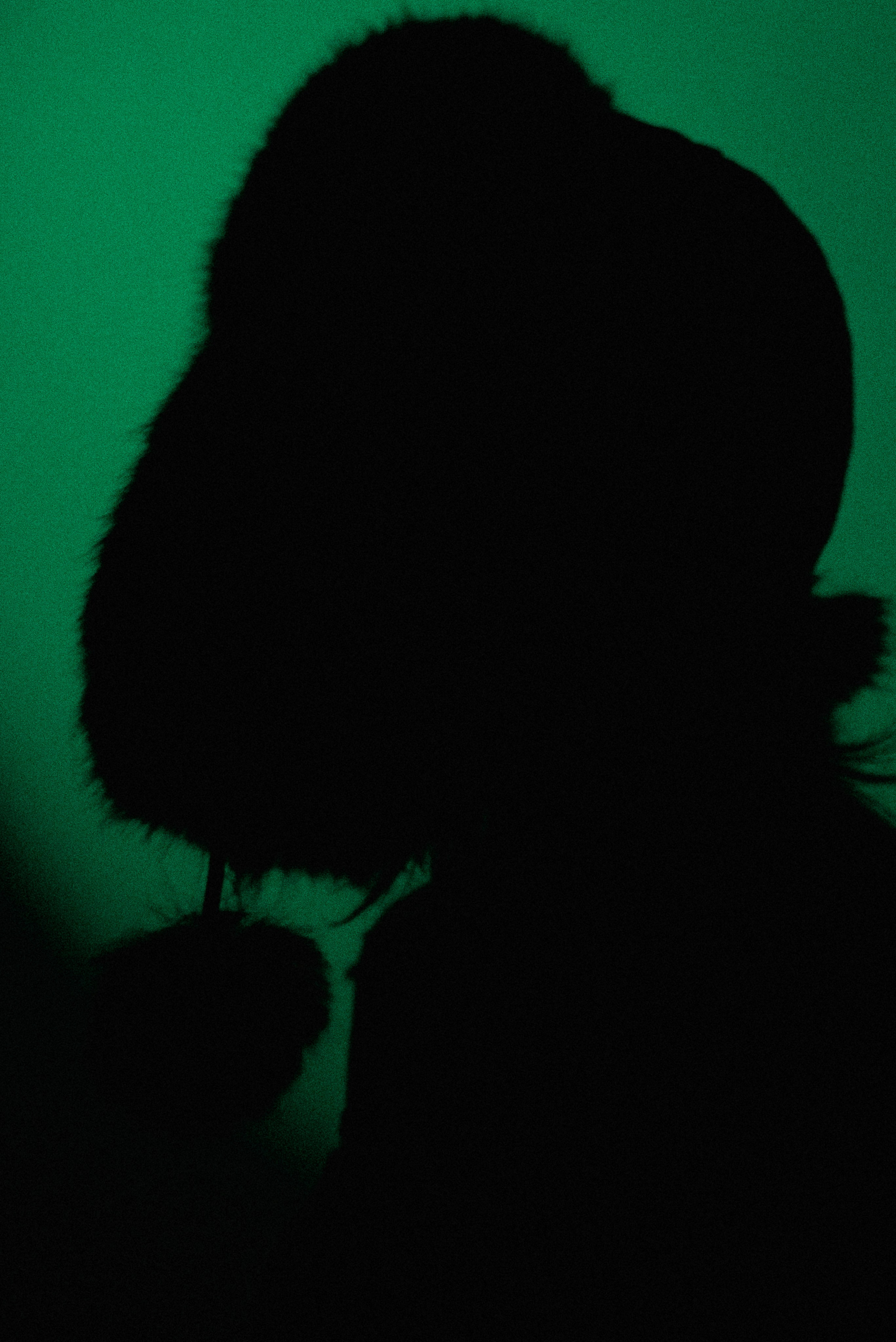 Эвелина. Семейный и детский фотограф Иваново Ксения Азаренкова