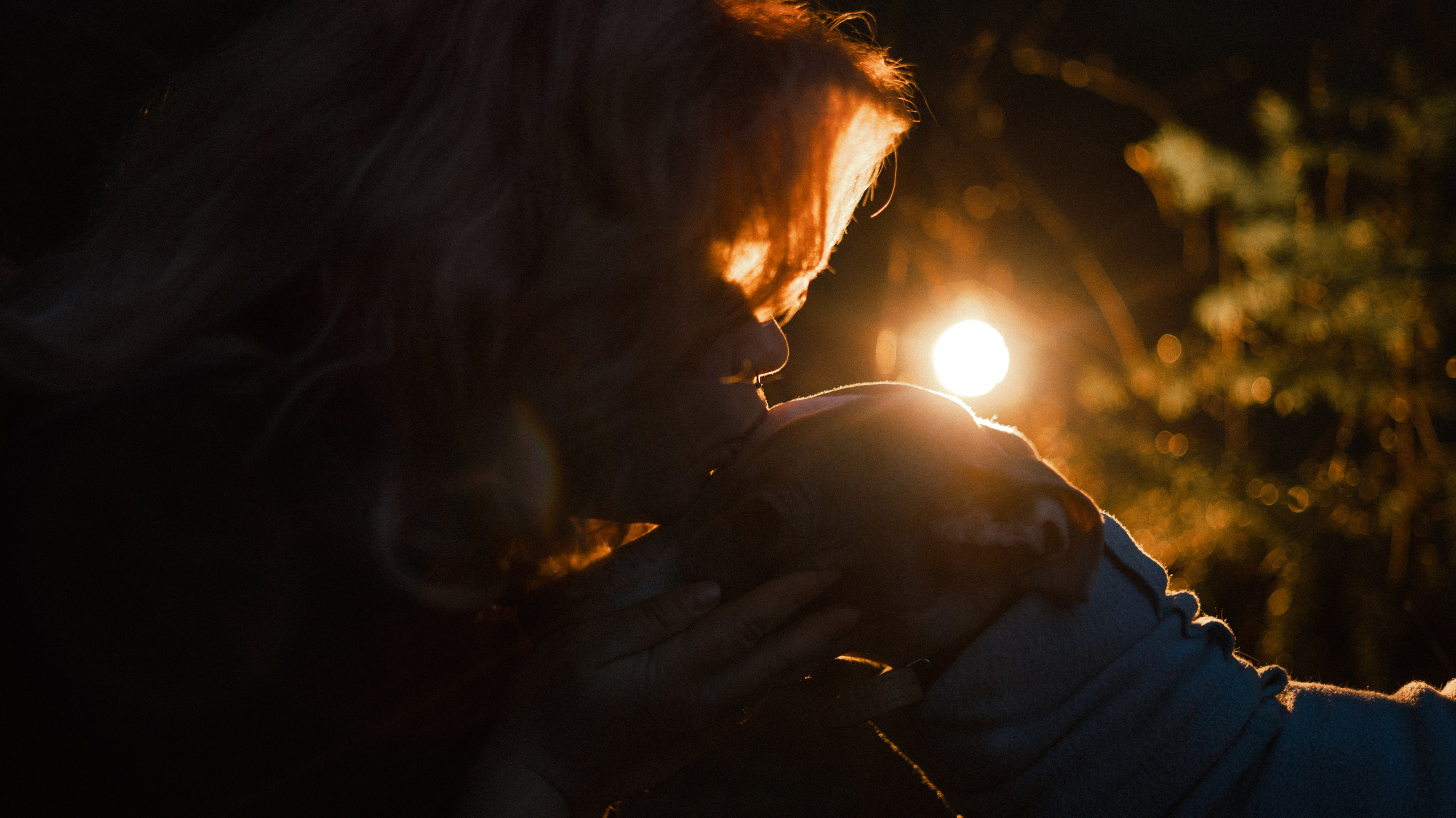 Вика, Джем и Белла. Фотограф-анималист Богданова Полина