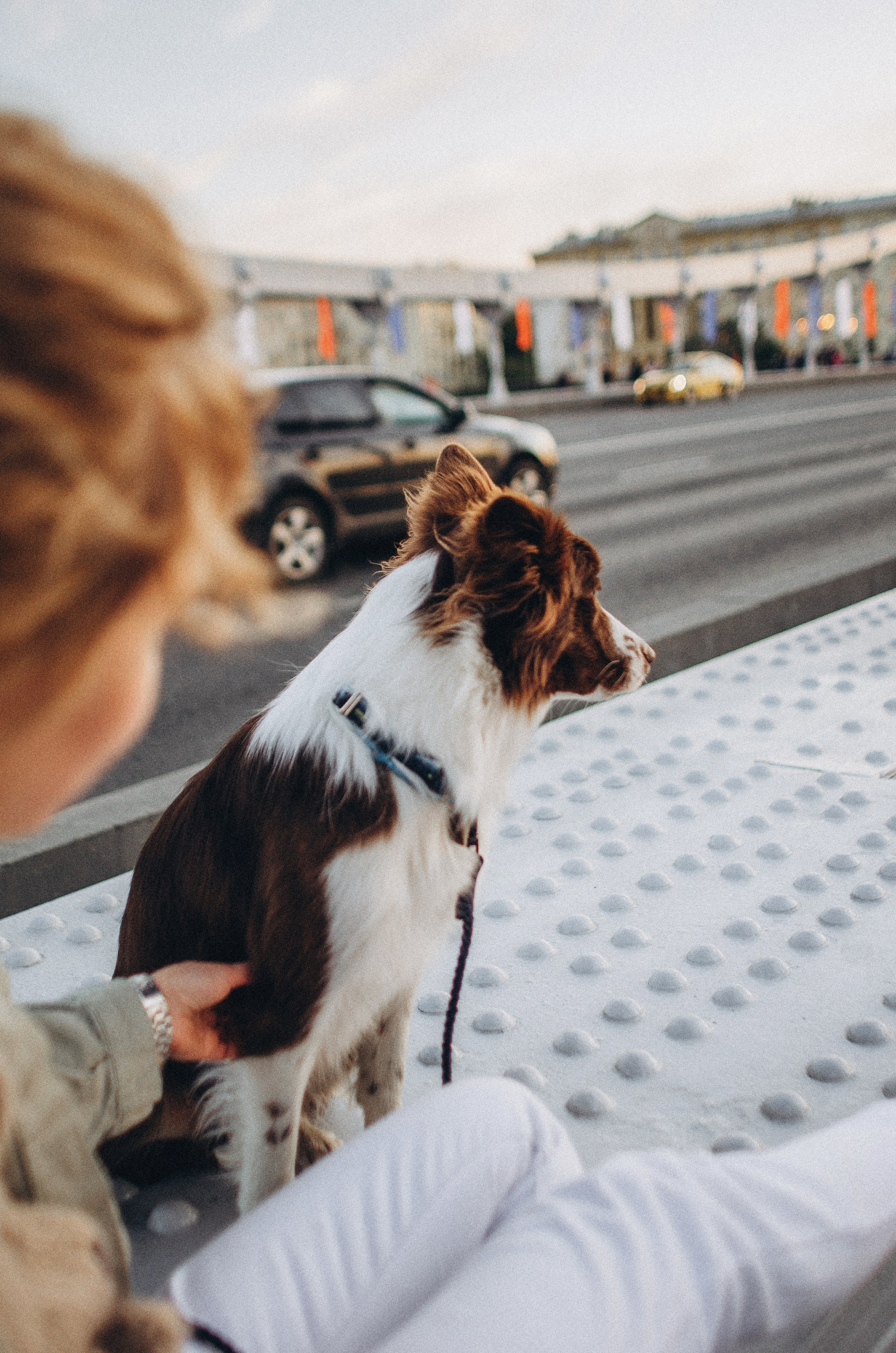 Лиза и Эни. Фотограф-анималист Богданова Полина