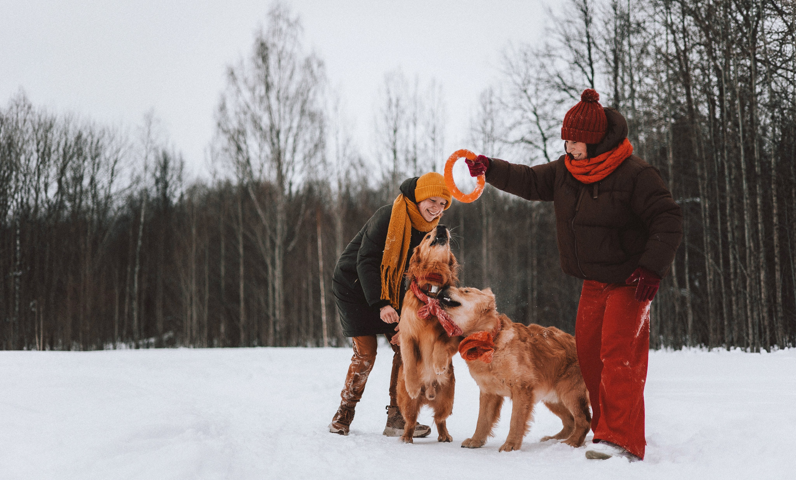 Саша, Юля, Грэй и Джой. Фотограф-анималист Богданова Полина