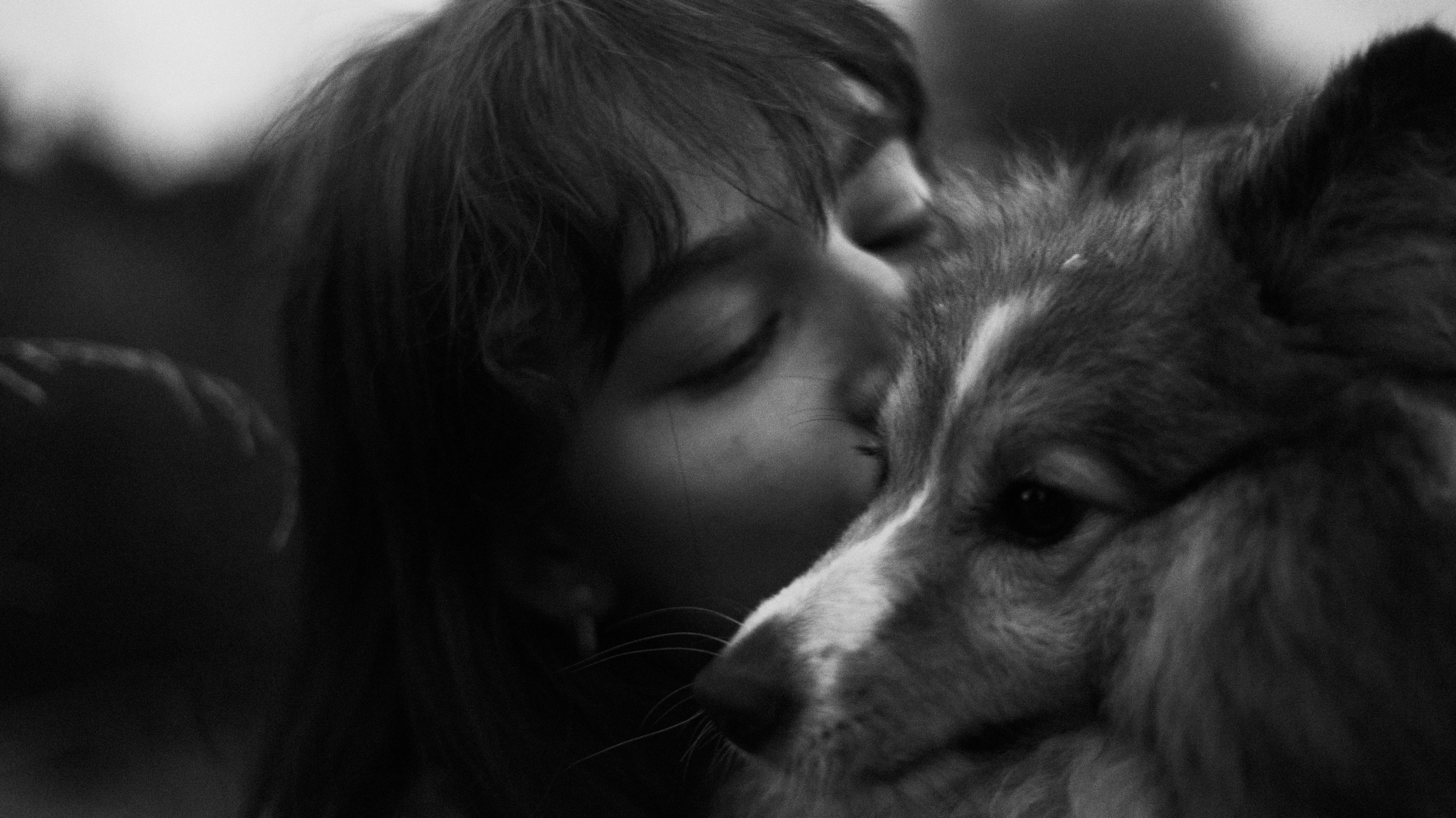 Аня и Скай. Фотограф-анималист Богданова Полина