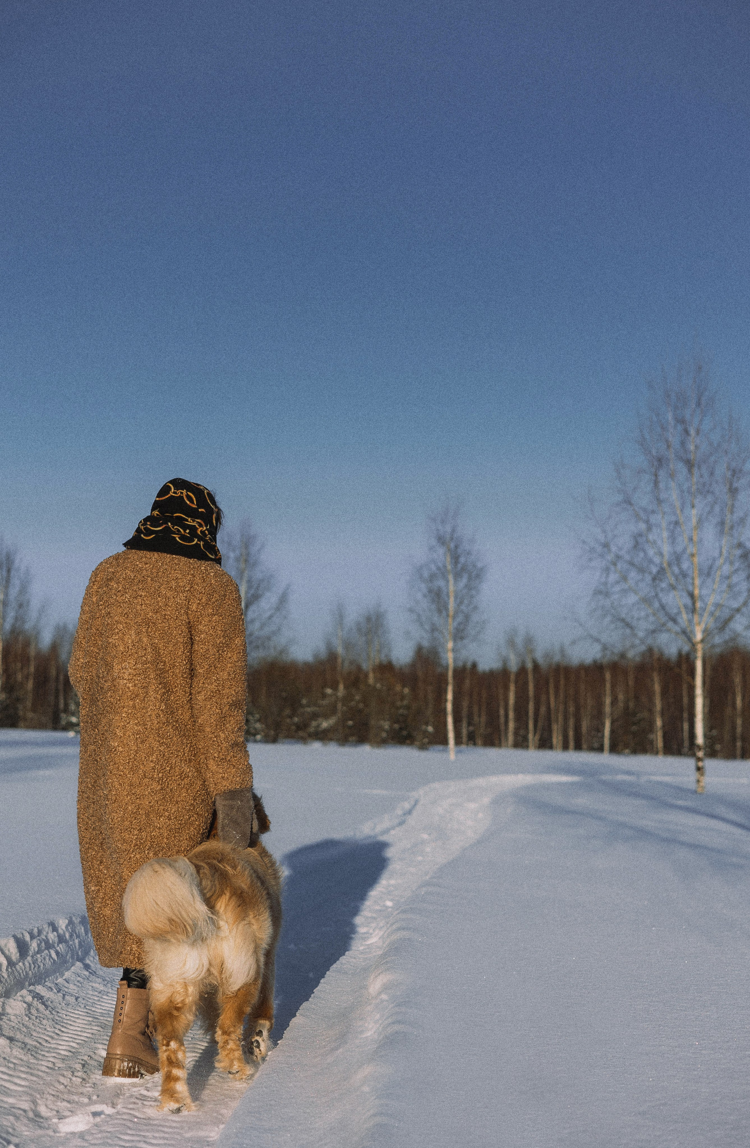 Лена и Декстер. Фотограф-анималист Богданова Полина