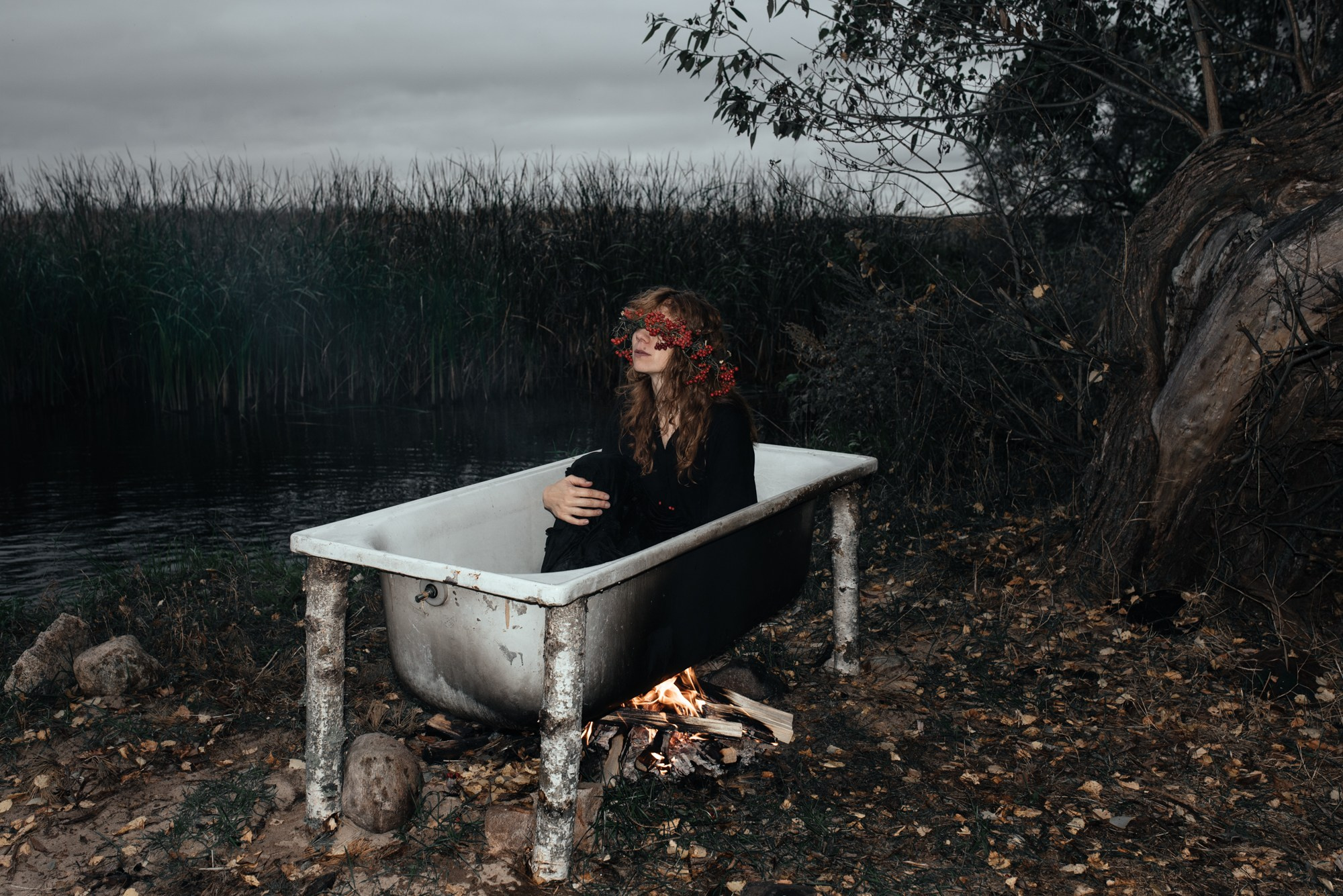 Understory. Tatiana Sikorskaya
