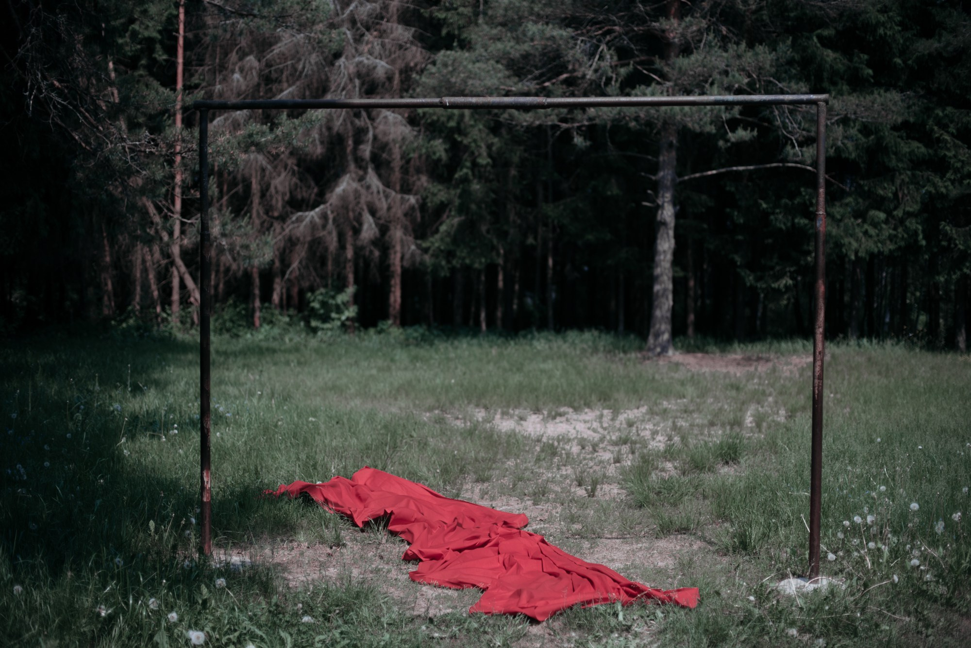 Understory. Tatiana Sikorskaya