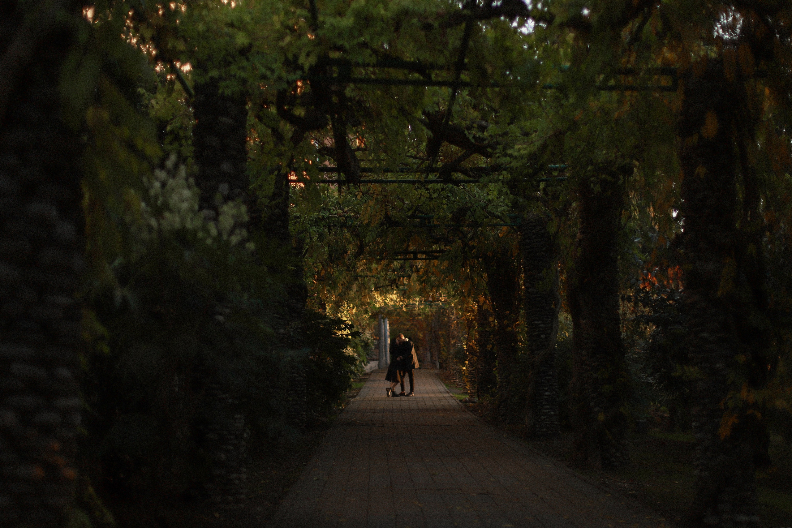 Осень в городе. Свадебный, репортажный и портретный фотограф Сочи, Краснодар. Александра Зайцева