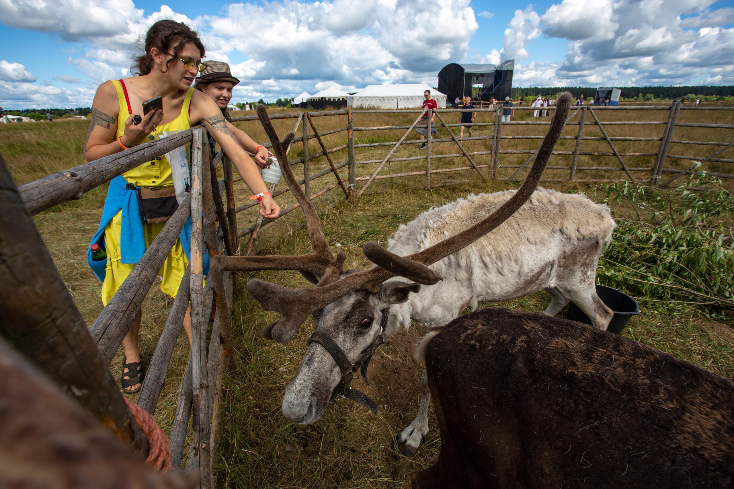 Bylinnyy Bereg 2021. Photographer Sonkina Tatiana (Tanya Ash)