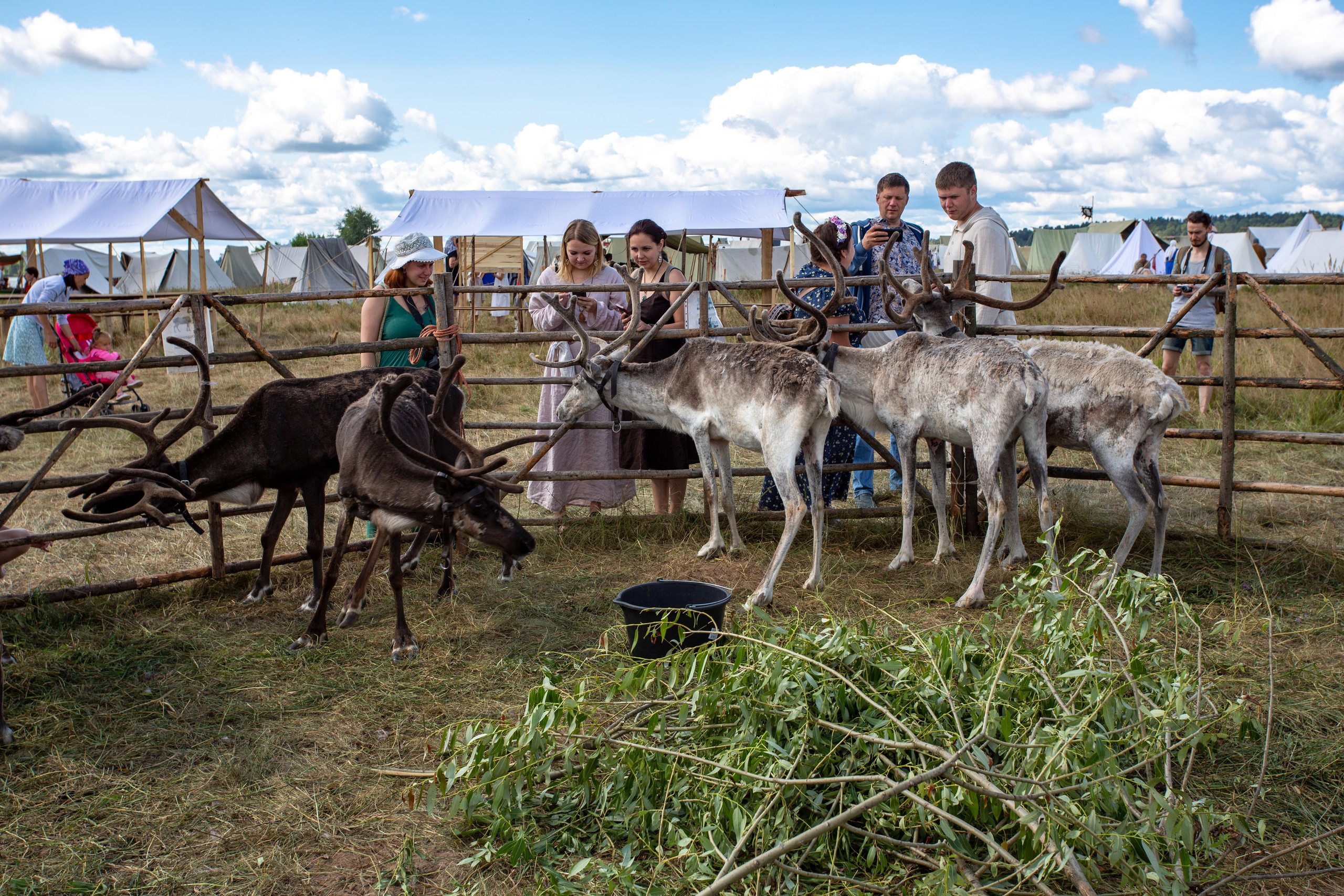 Bylinnyy Bereg 2021. Photographer Sonkina Tatiana (Tanya Ash)