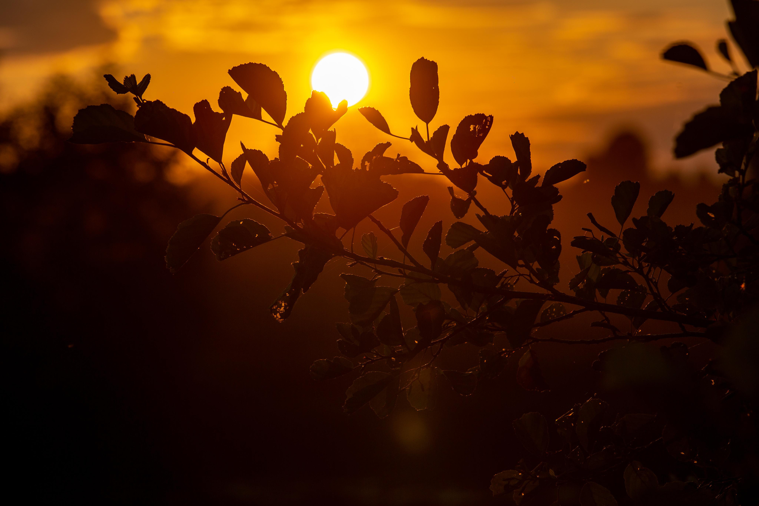 Д. Топорок. Photographer Sonkina Tatiana (Tanya Ash)