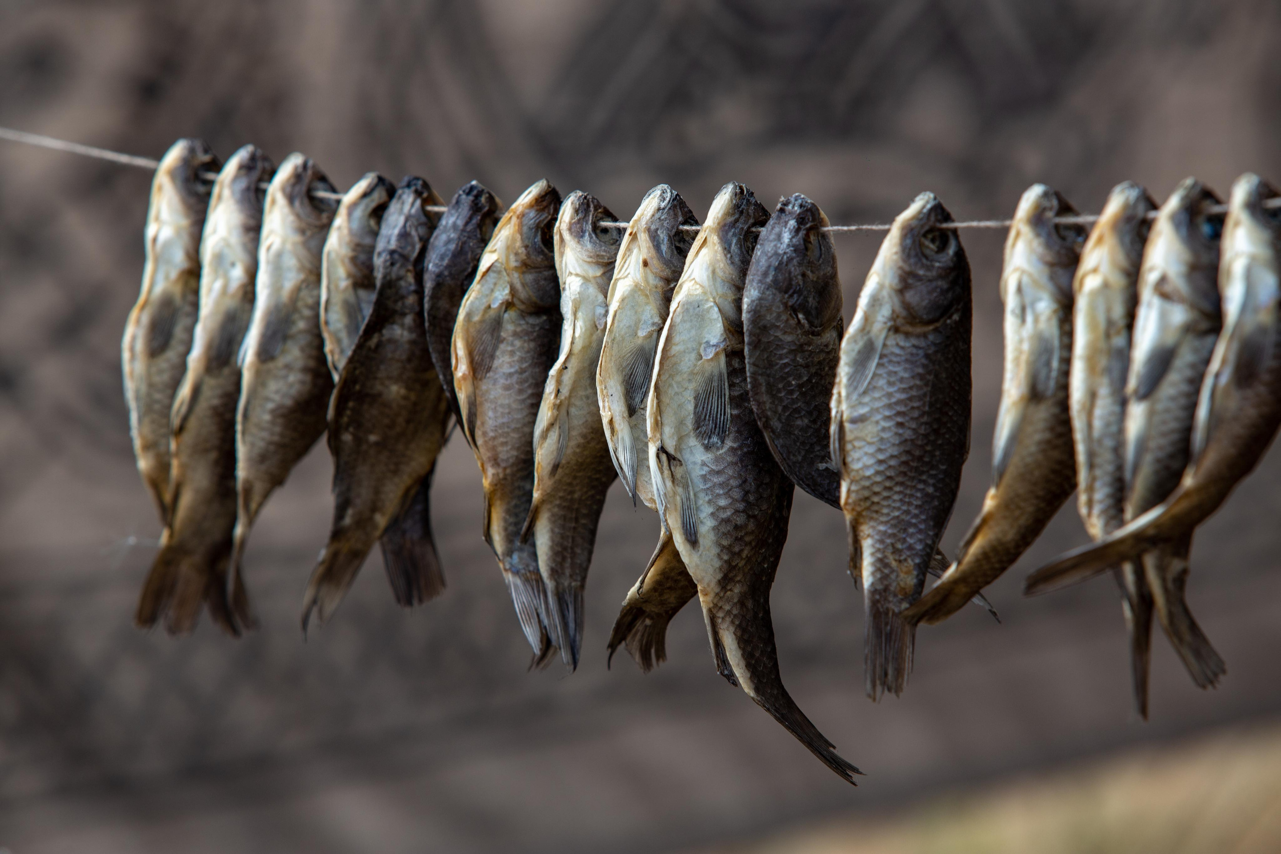 Bylinnyy Bereg 2021. Photographer Sonkina Tatiana (Tanya Ash)