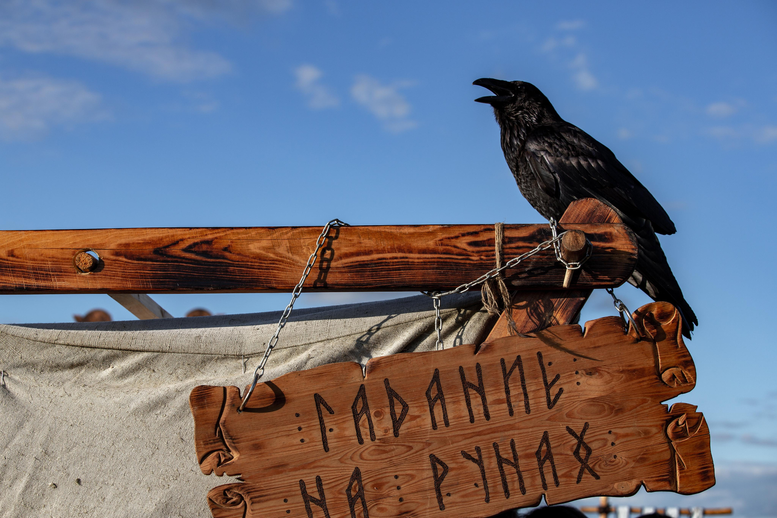 Bylinnyy Bereg 2021. Photographer Sonkina Tatiana (Tanya Ash)